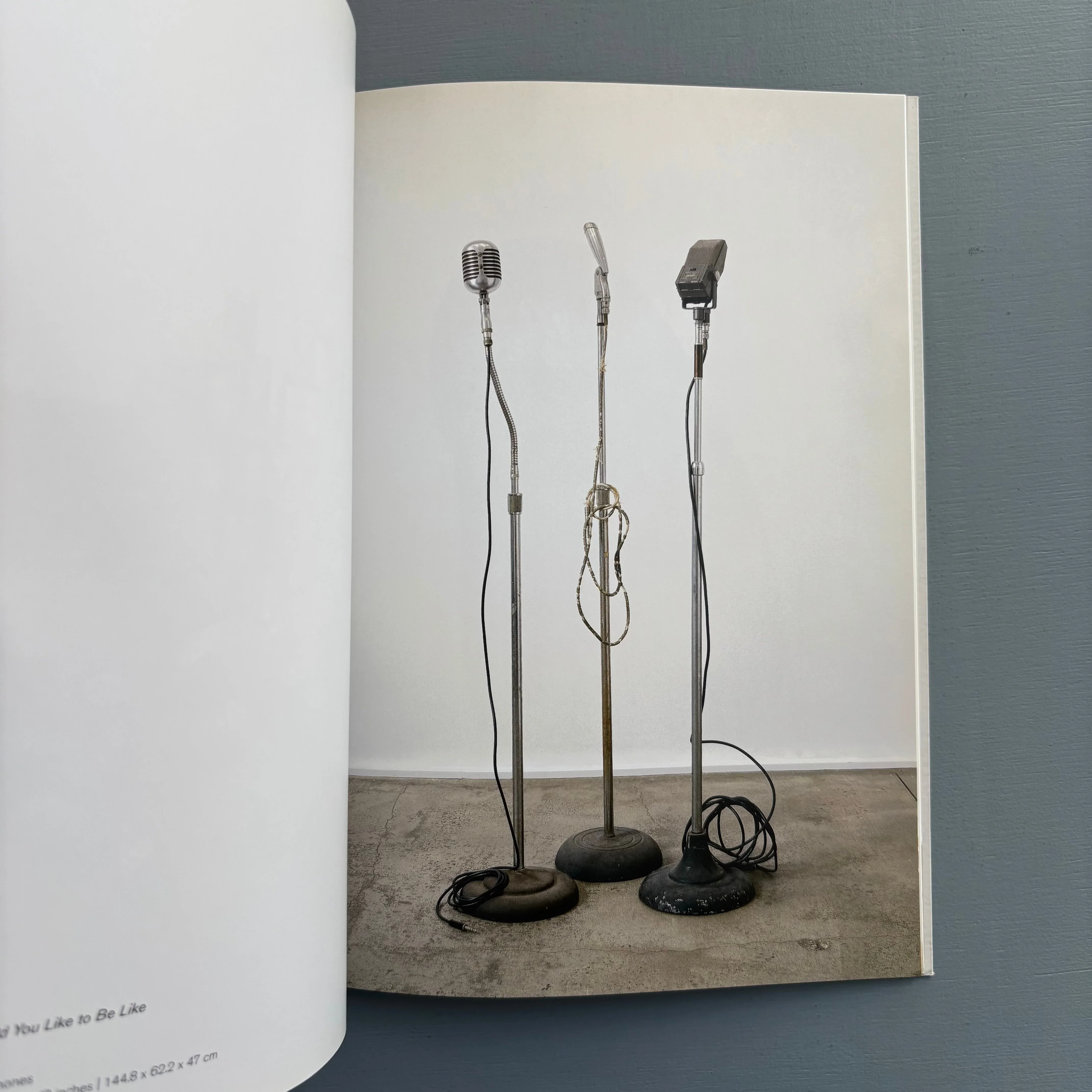David Hammons - Selected Works - Zwirner & Wirth 2006 - Image 6
