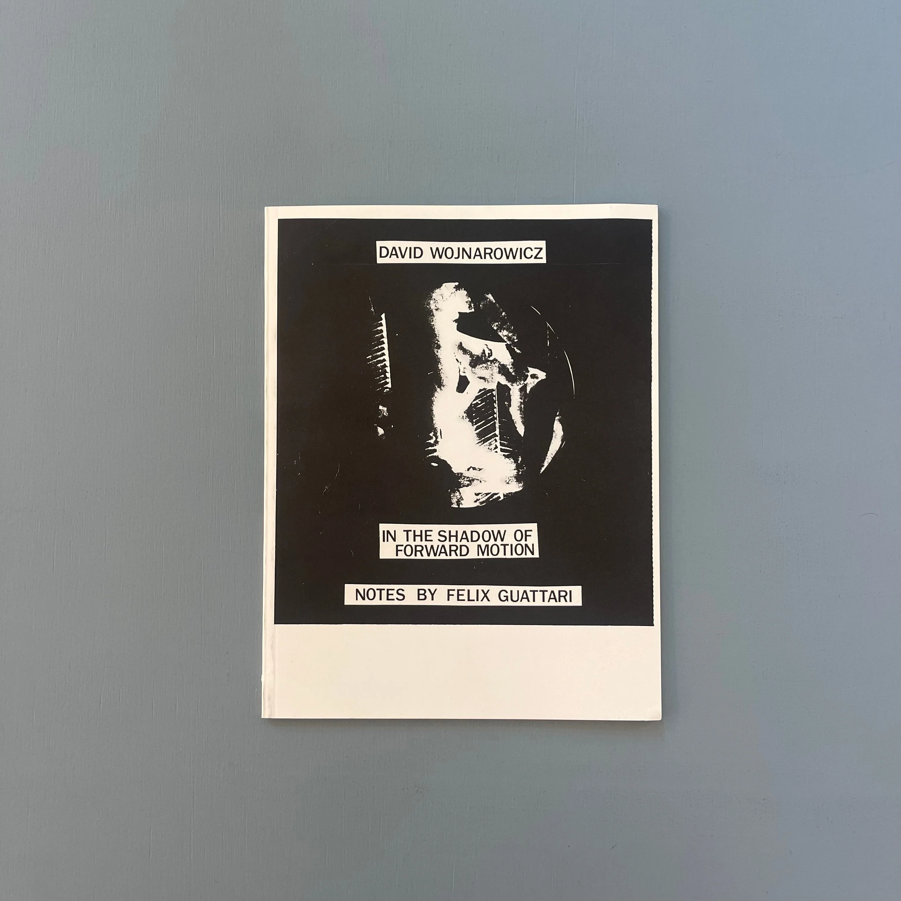 David Wojnarowicz - In the Shadow of Forward Motion - Primary Information 2020