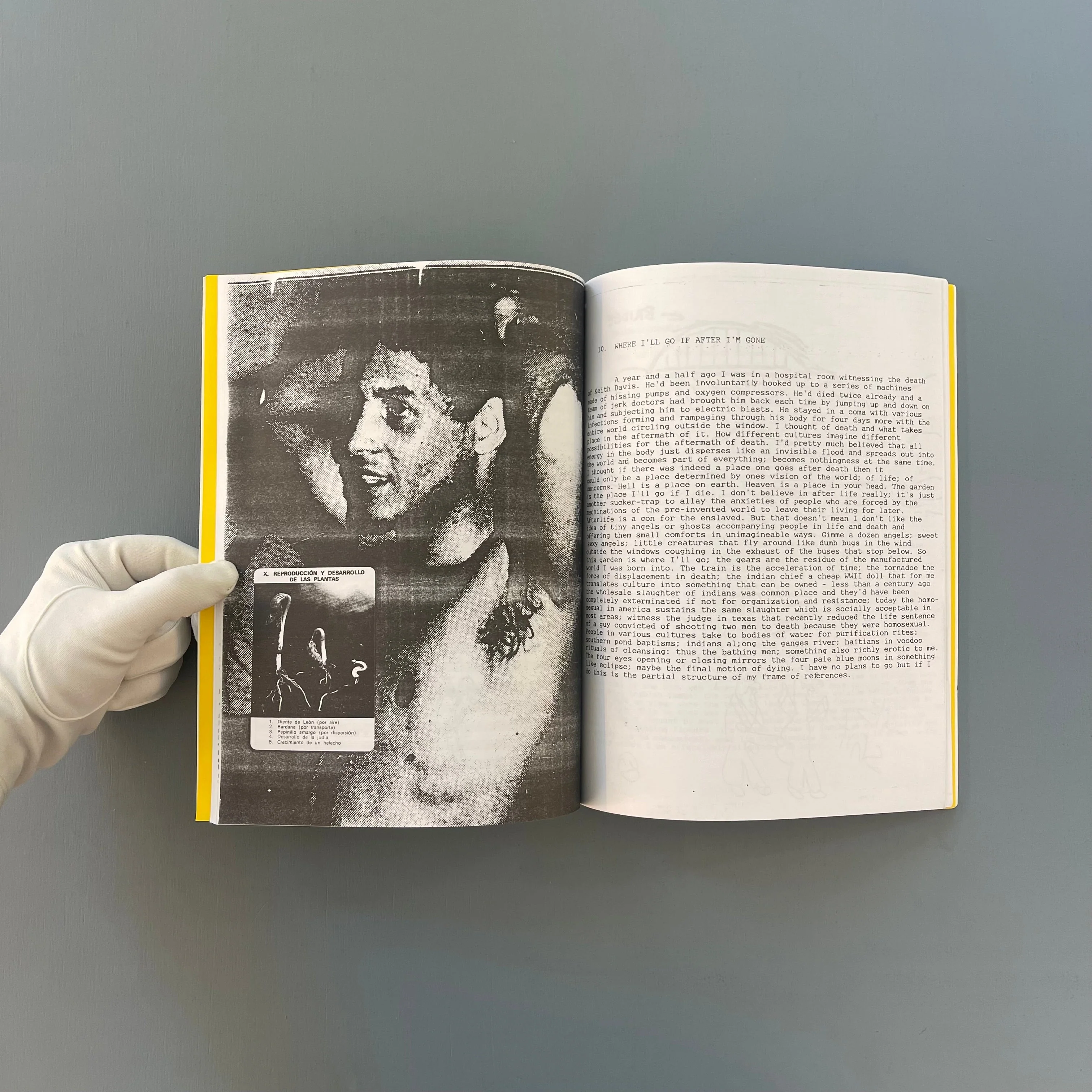 David Wojnarowicz - In the Shadow of Forward Motion - Primary Information 2020 - Image 10