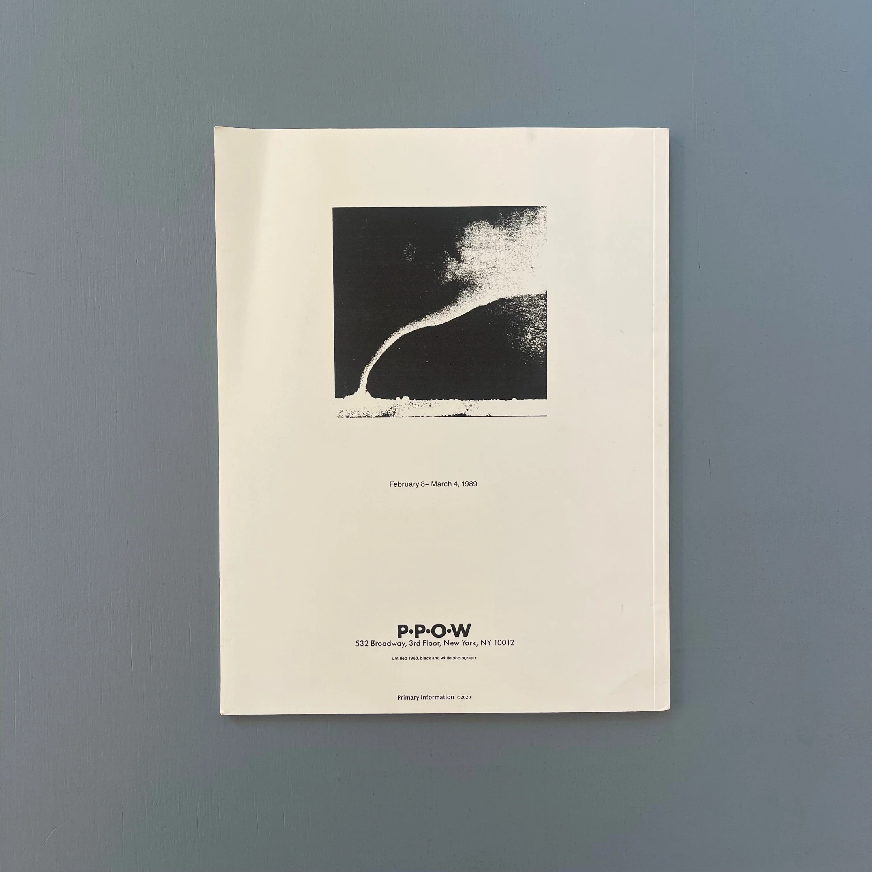 David Wojnarowicz - In the Shadow of Forward Motion - Primary Information 2020 - Image 13