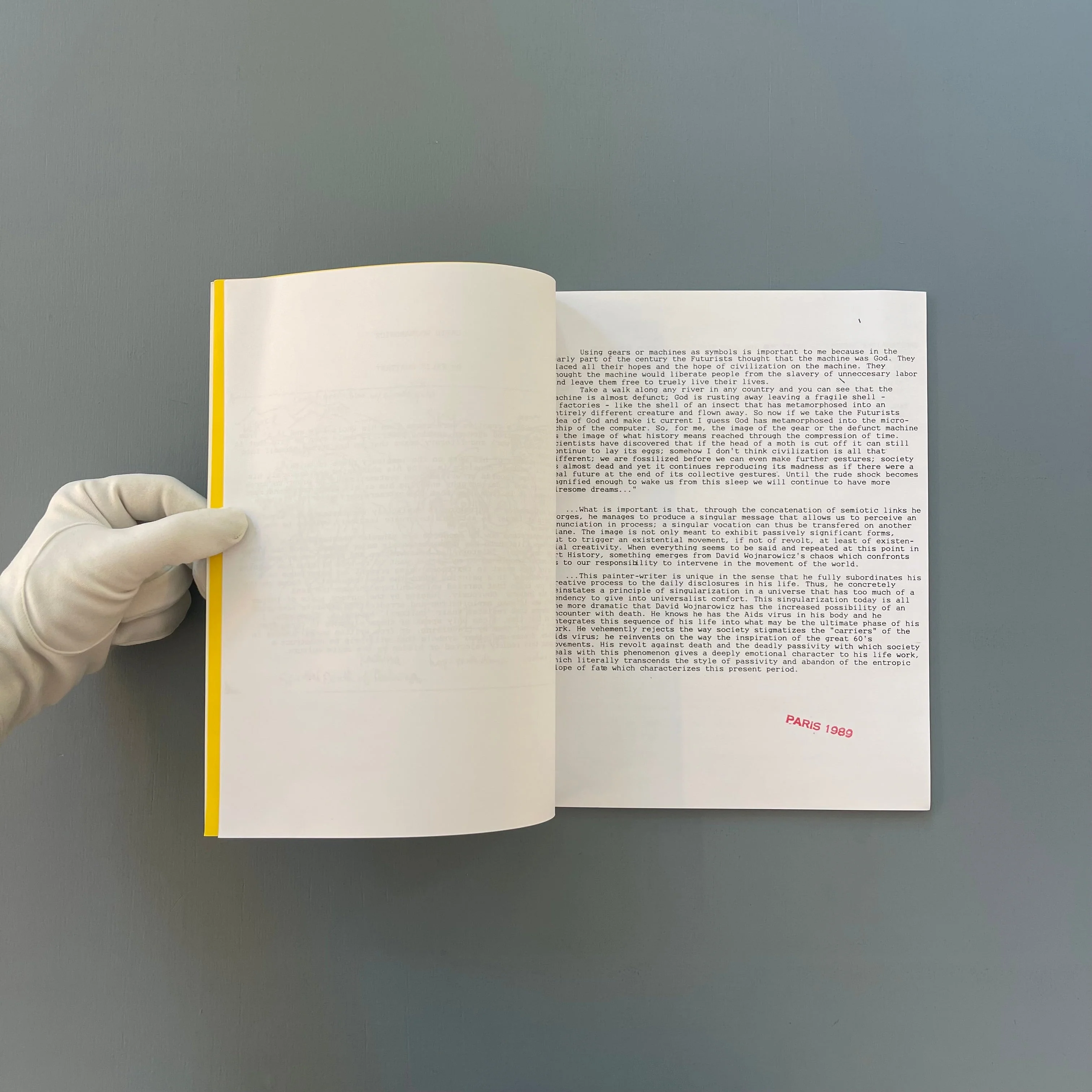 David Wojnarowicz - In the Shadow of Forward Motion - Primary Information 2020 - Image 2