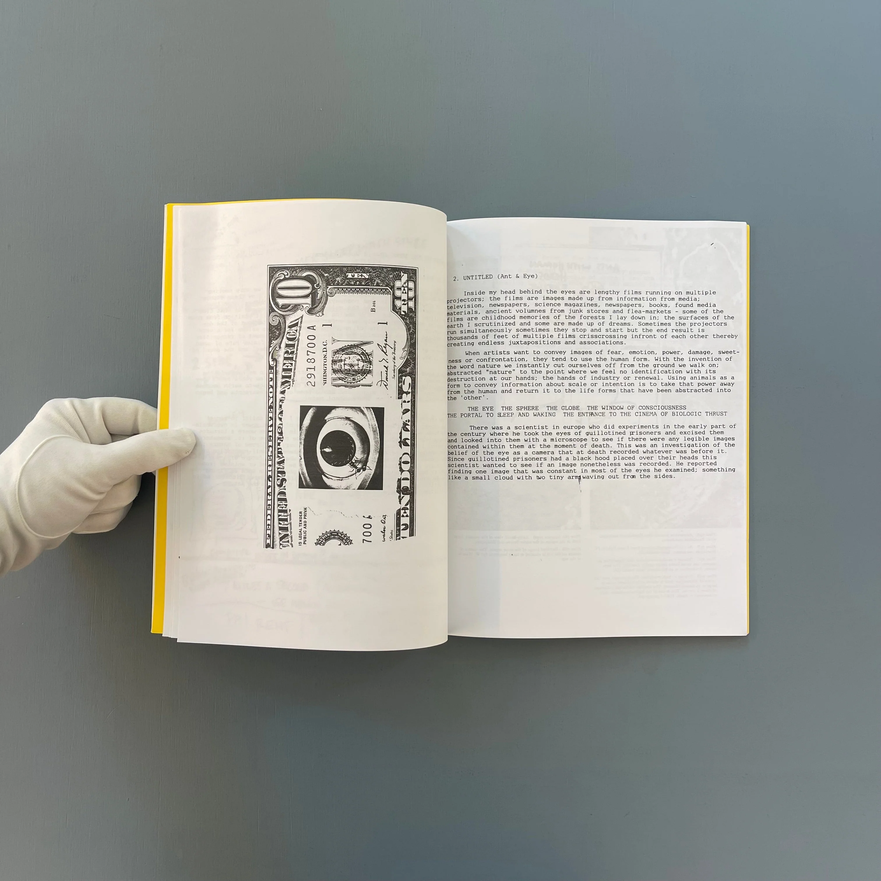David Wojnarowicz - In the Shadow of Forward Motion - Primary Information 2020 - Image 5