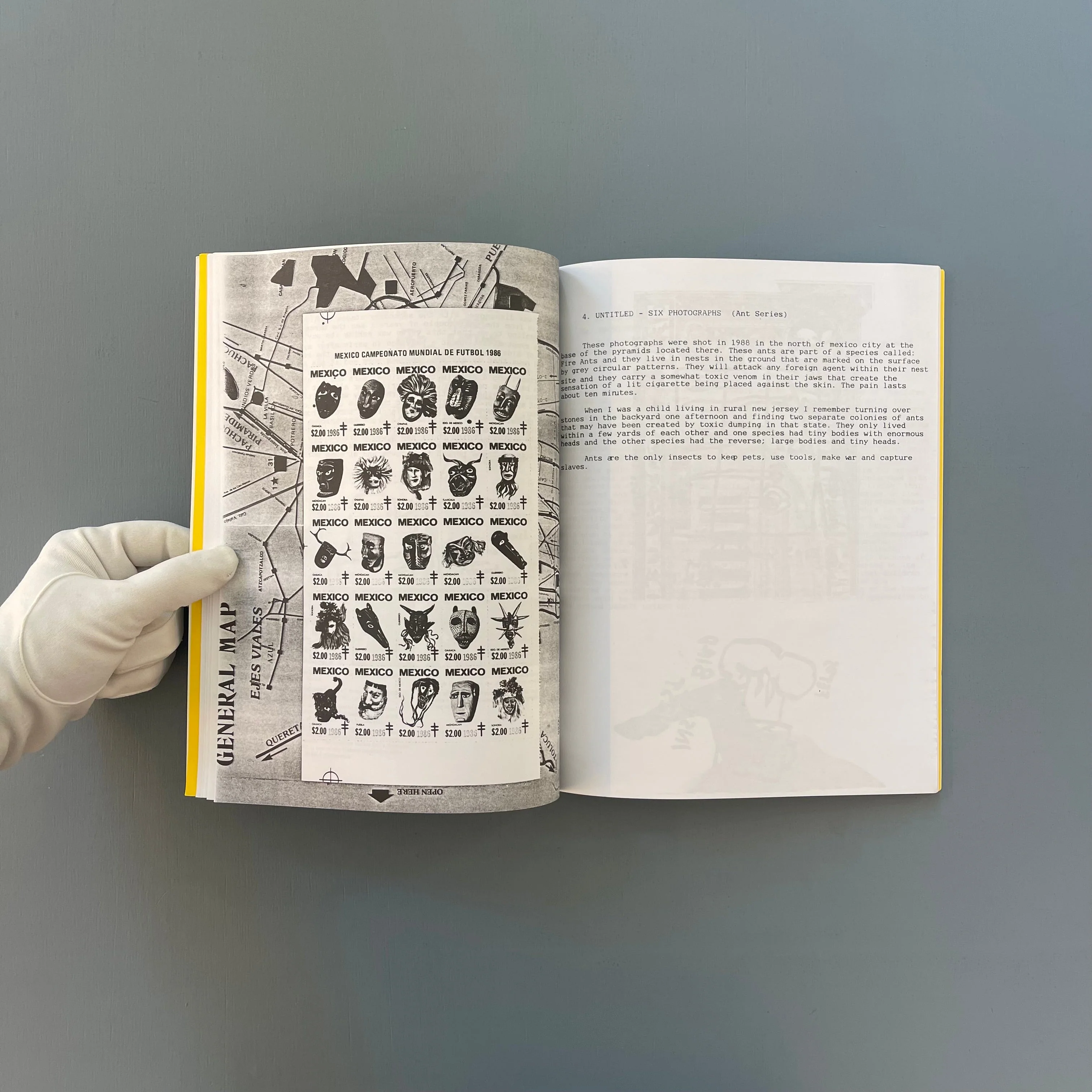 David Wojnarowicz - In the Shadow of Forward Motion - Primary Information 2020 - Image 6