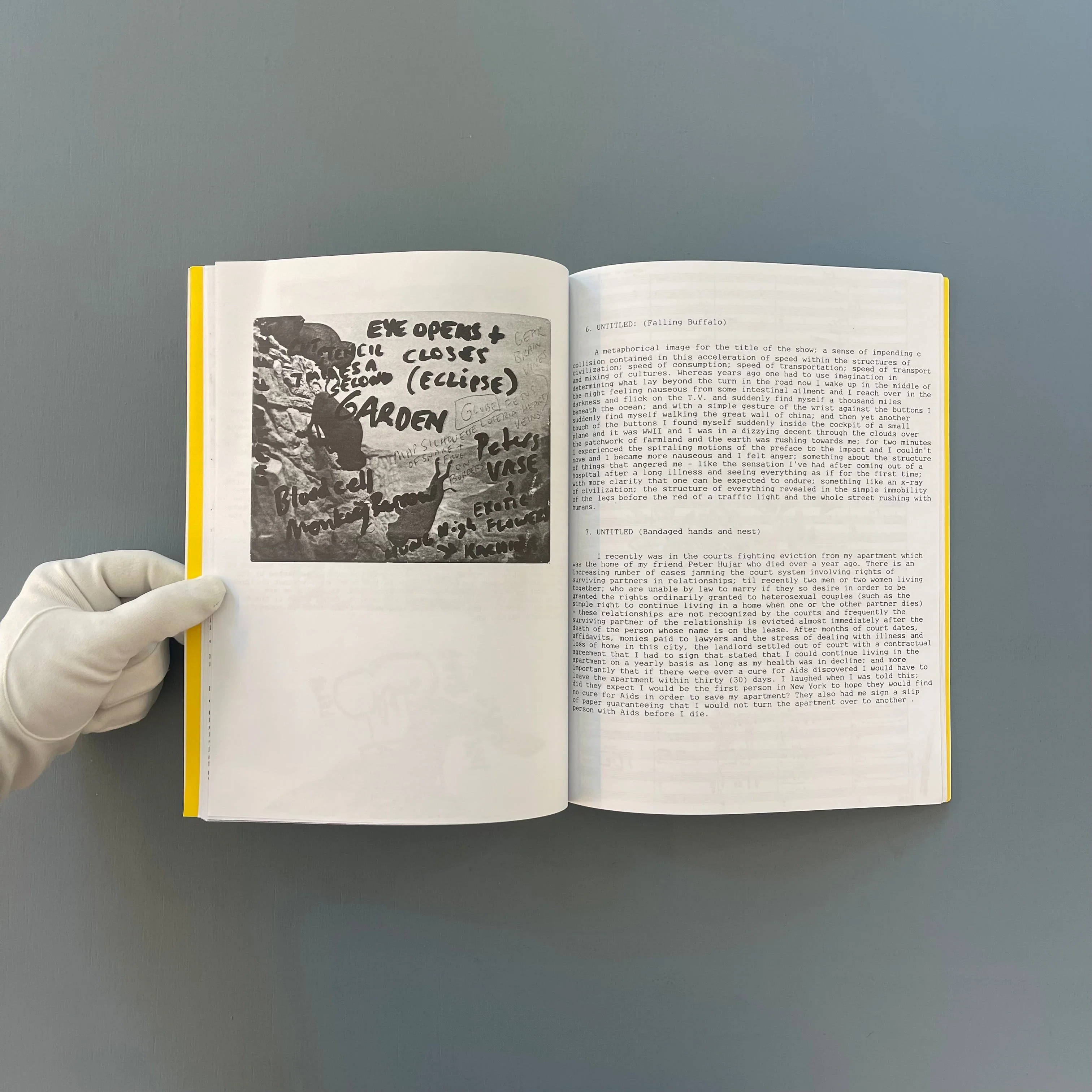 David Wojnarowicz - In the Shadow of Forward Motion - Primary Information 2020 - Image 8