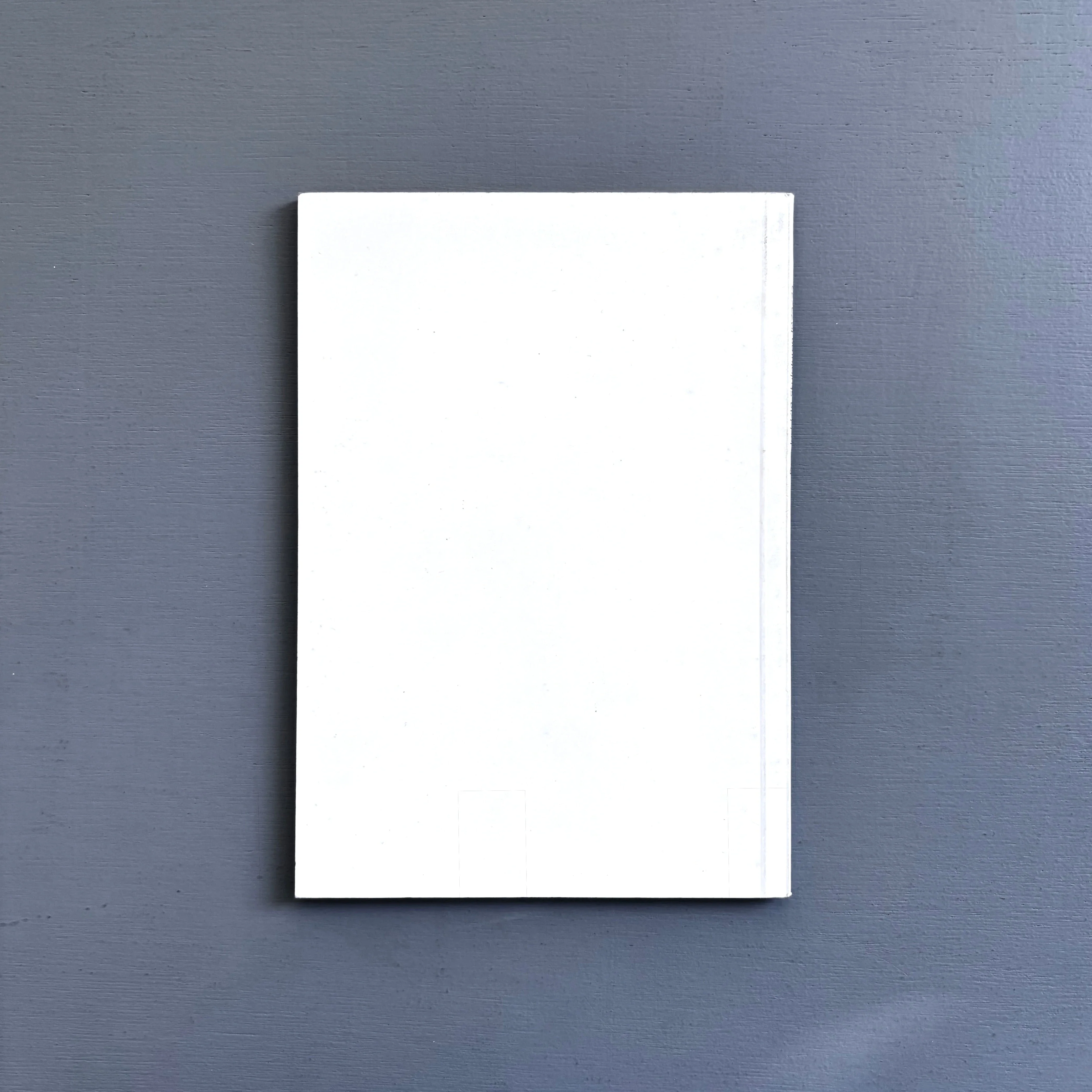 Don Judd - 18 Skulpturen 1972/73 - Galerie Heiner Friedrich 1973 - Image 9