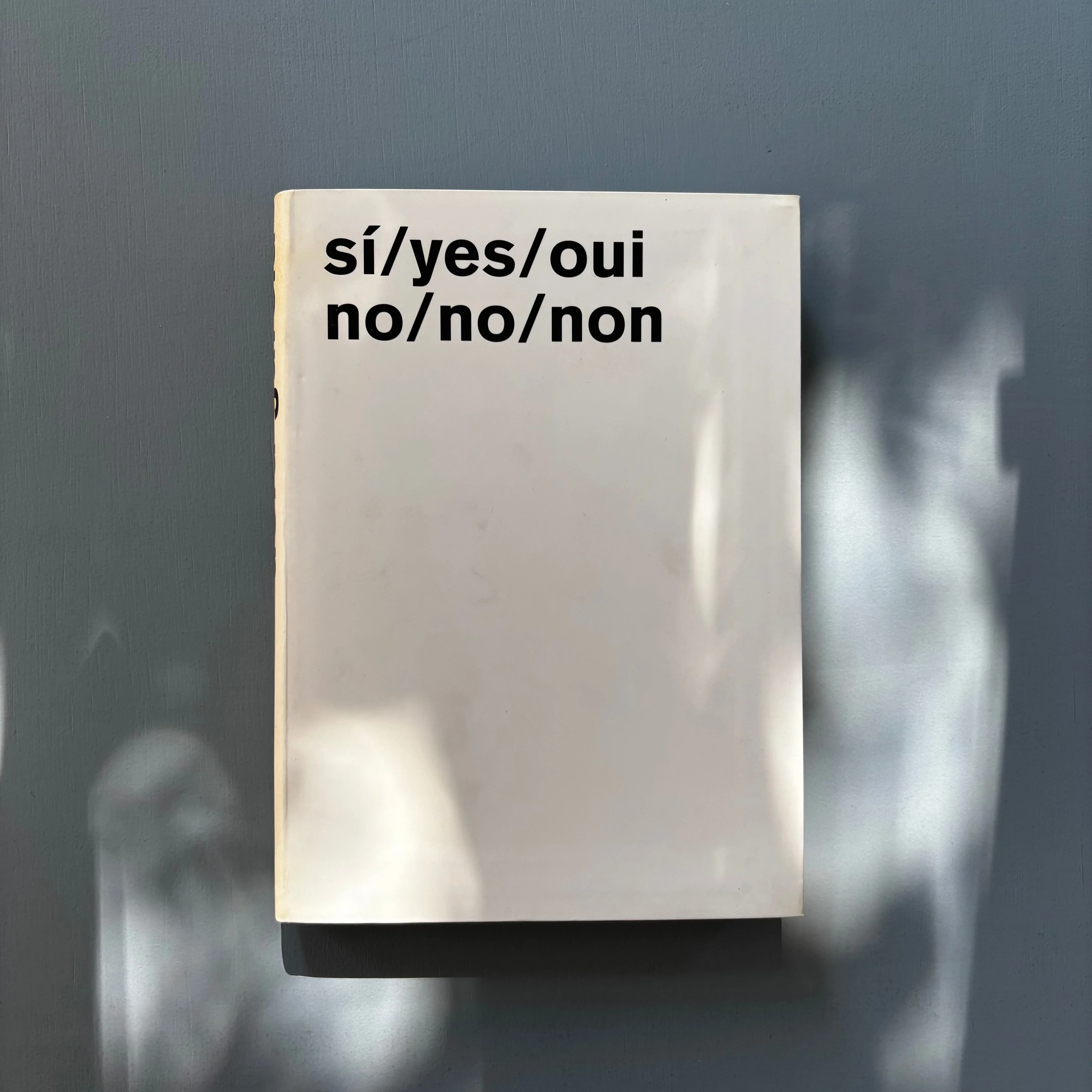 Dora Garcia - si/yes/oui no/no/non - Musac/FRAC Bourgogne 2005