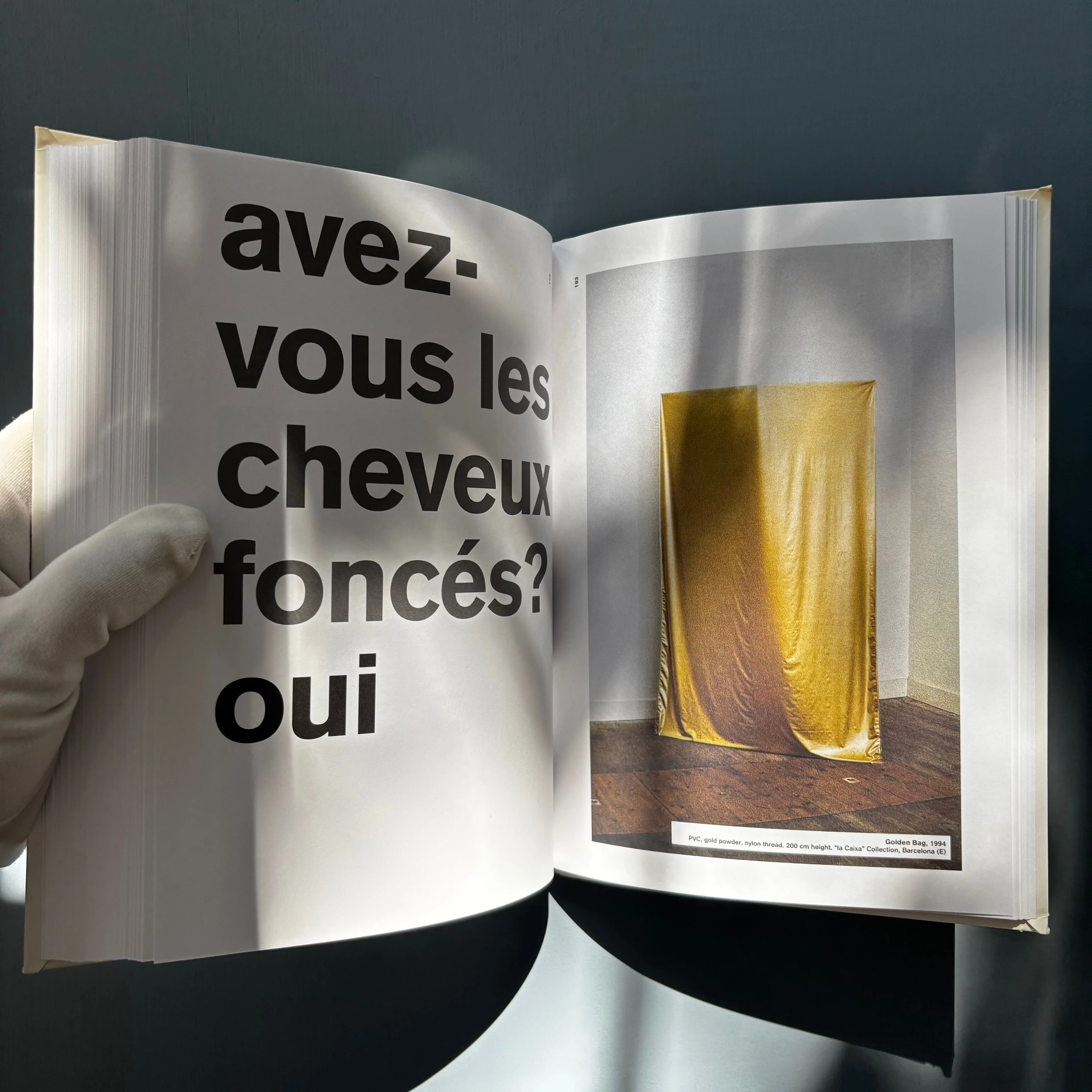 Dora Garcia - si/yes/oui no/no/non - Musac/FRAC Bourgogne 2005 - Image 8