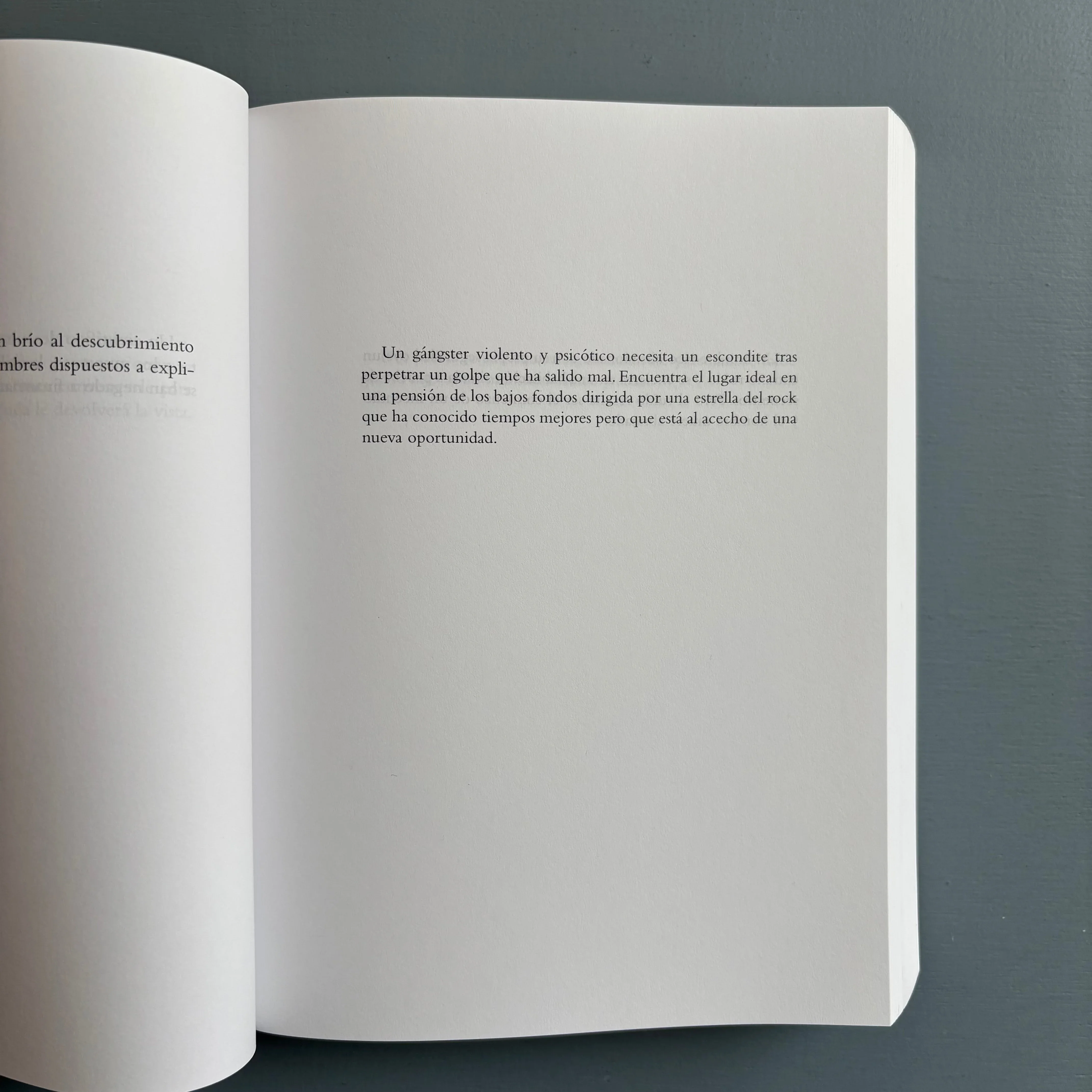 Dora Garcia - Todas Las Historias Vol. III, 2005 - Museo Reina Sofia 2005 - Image 3