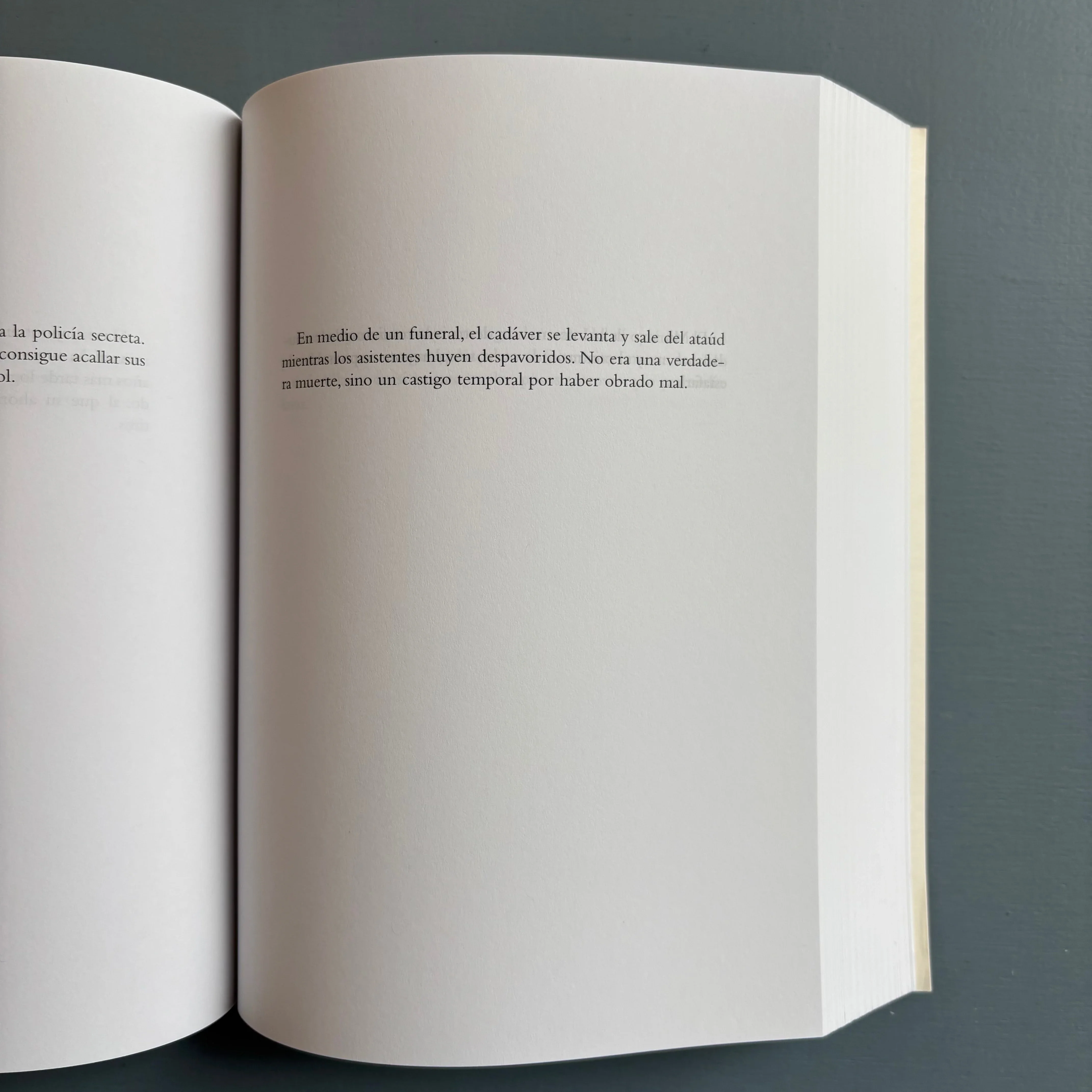Dora Garcia - Todas Las Historias Vol. III, 2005 - Museo Reina Sofia 2005 - Image 6