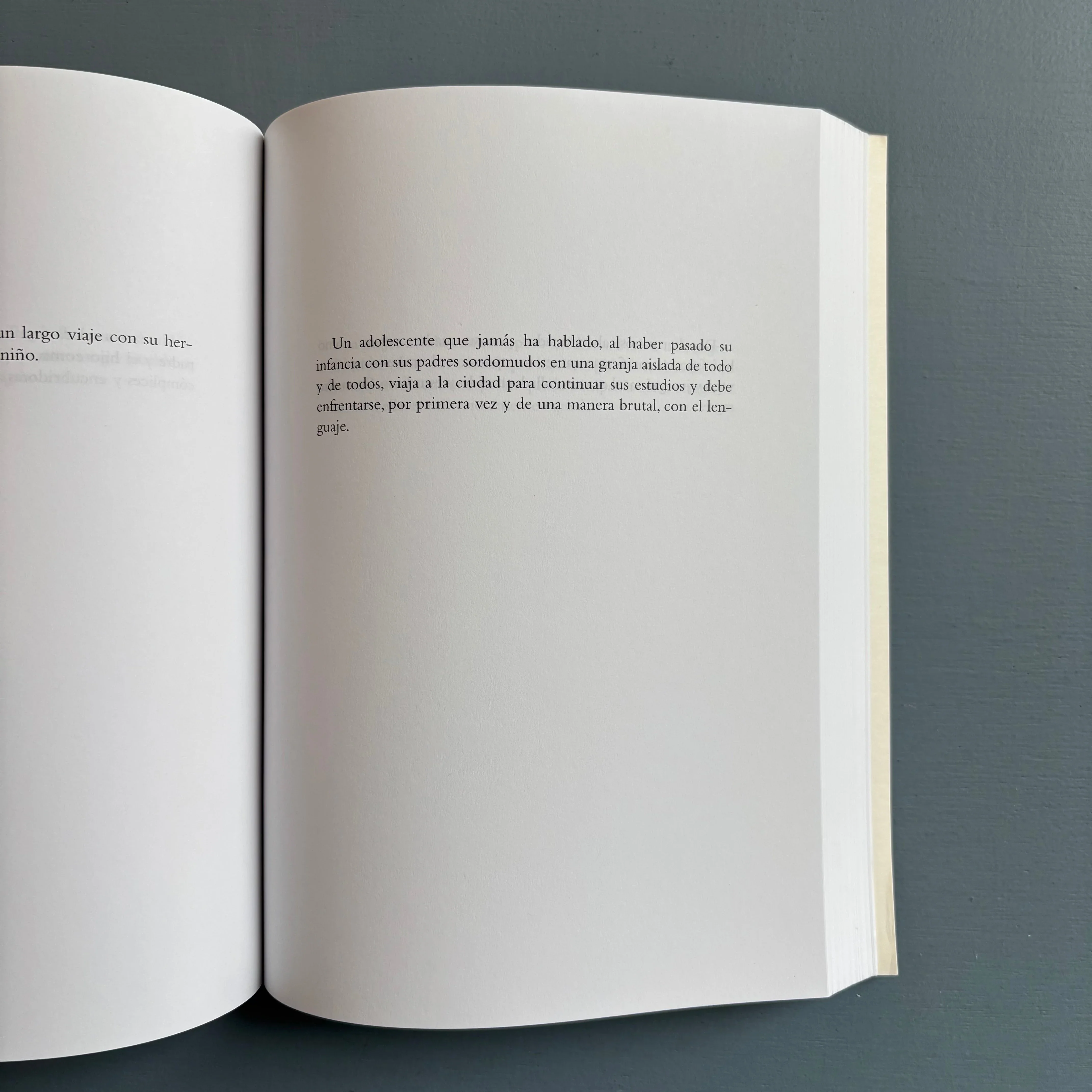 Dora Garcia - Todas Las Historias Vol. III, 2005 - Museo Reina Sofia 2005 - Image 7
