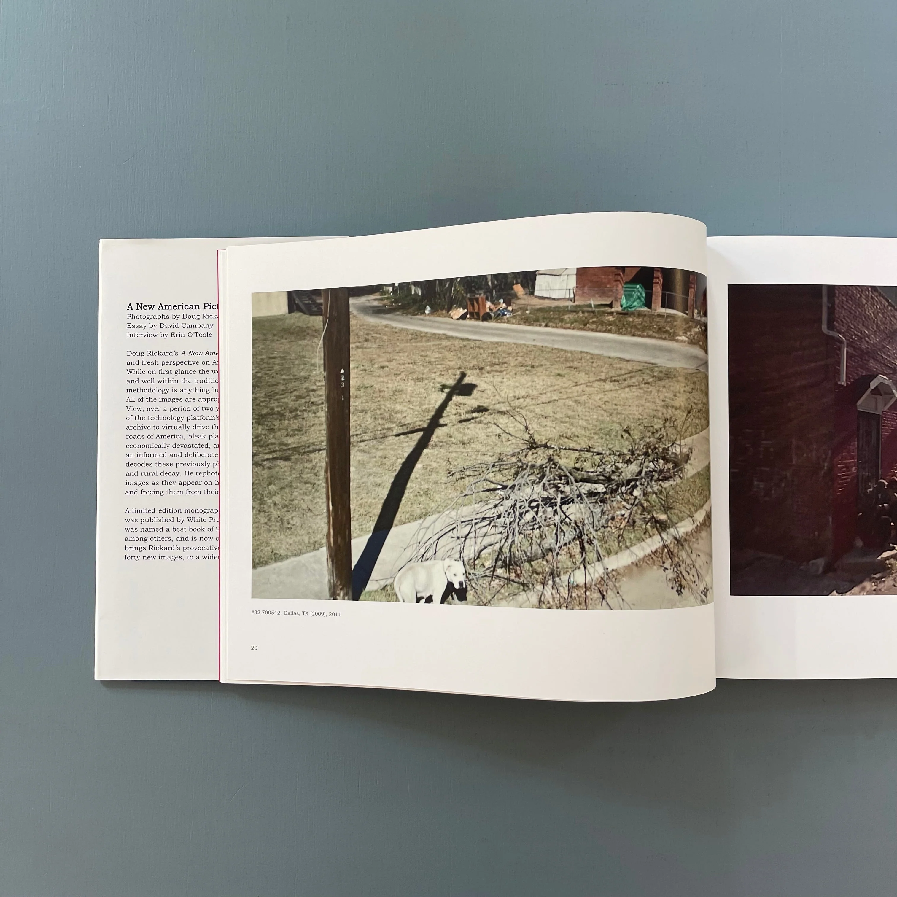 Doug Rickard - A new American picture - Koenig 2011 - Image 5
