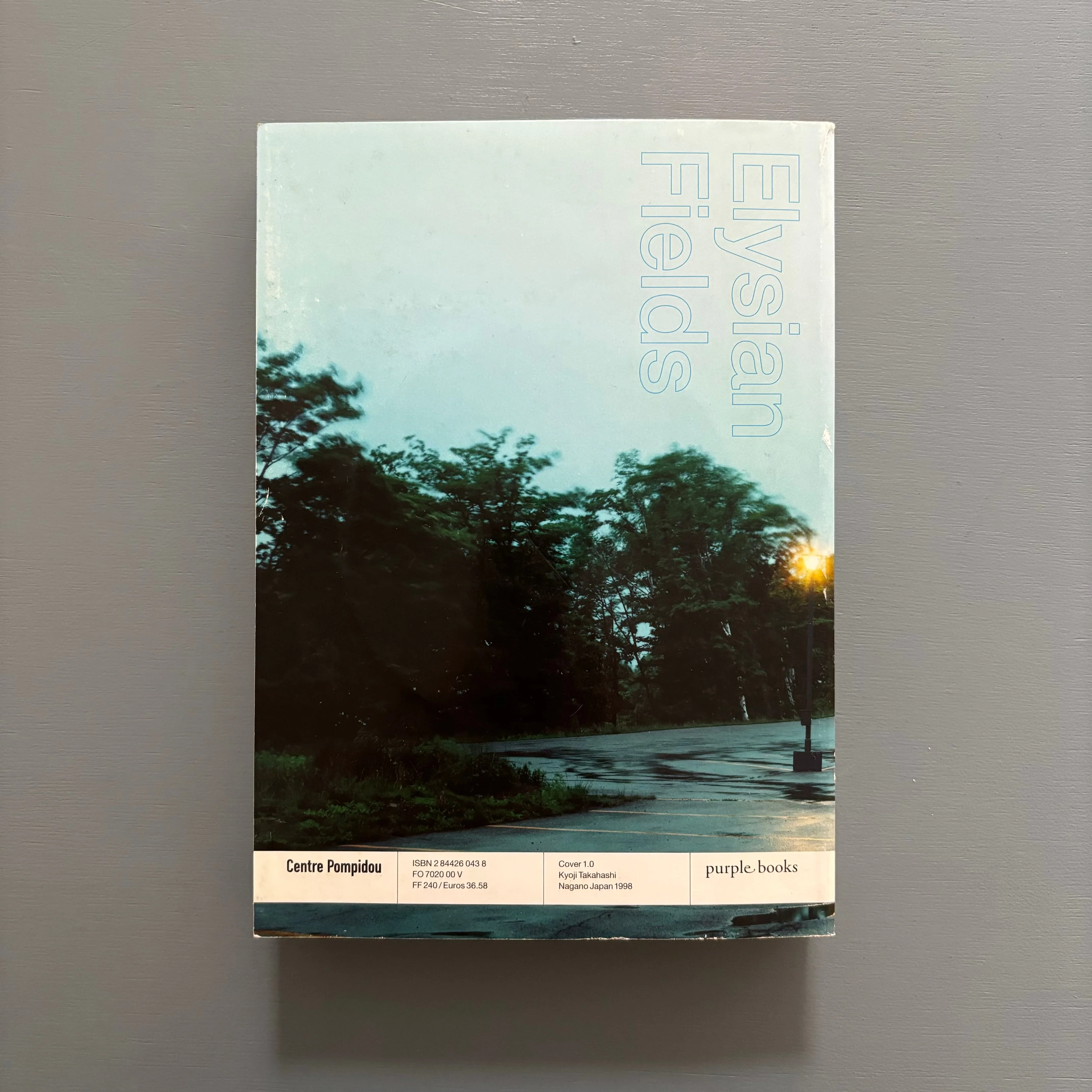 Elysian Fields (+CD) - Centre Pompidou & Purple Institute 2000 - Image 11