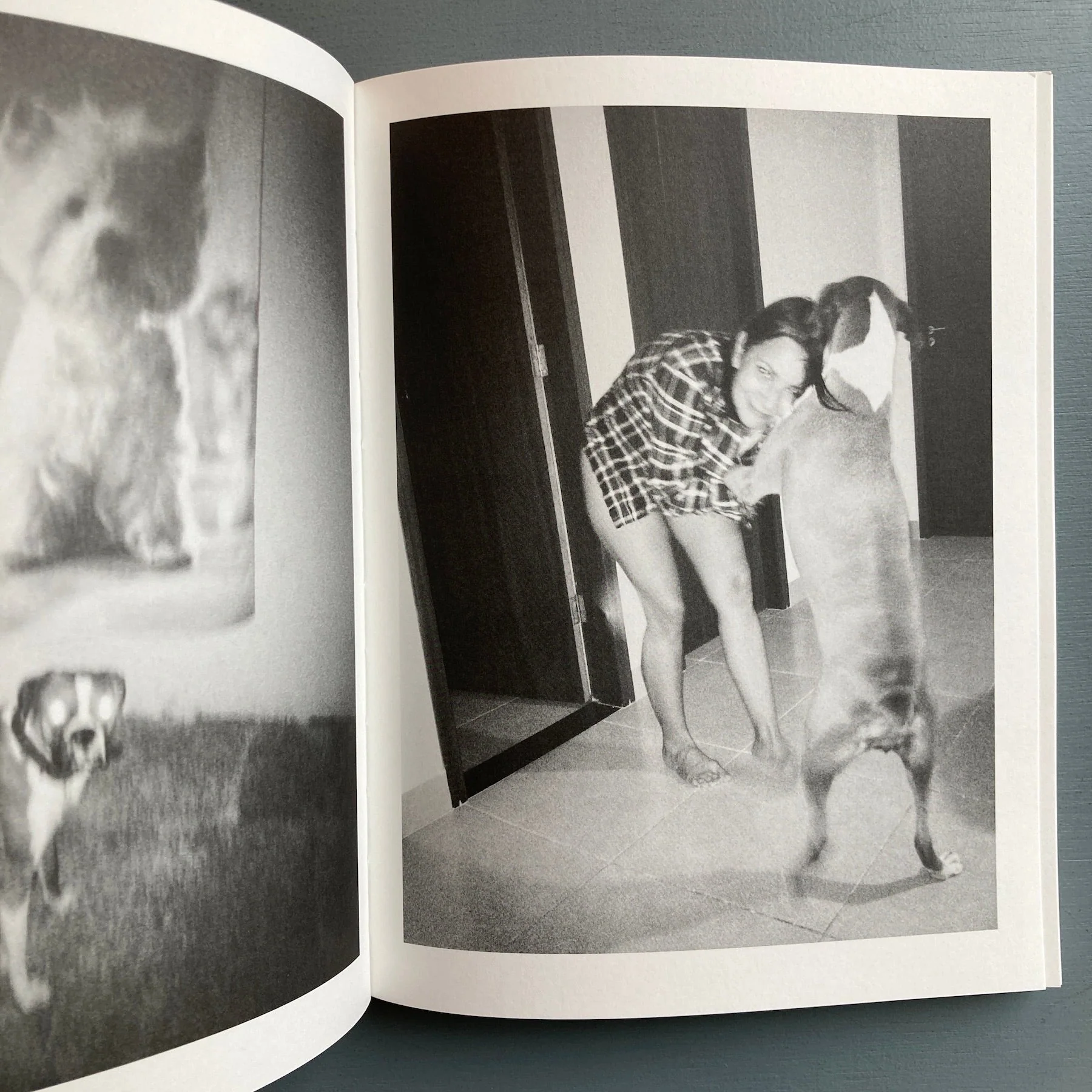 Erik van der Weijde (signed) - Home is where the dog is - 4478 2014 - Image 3