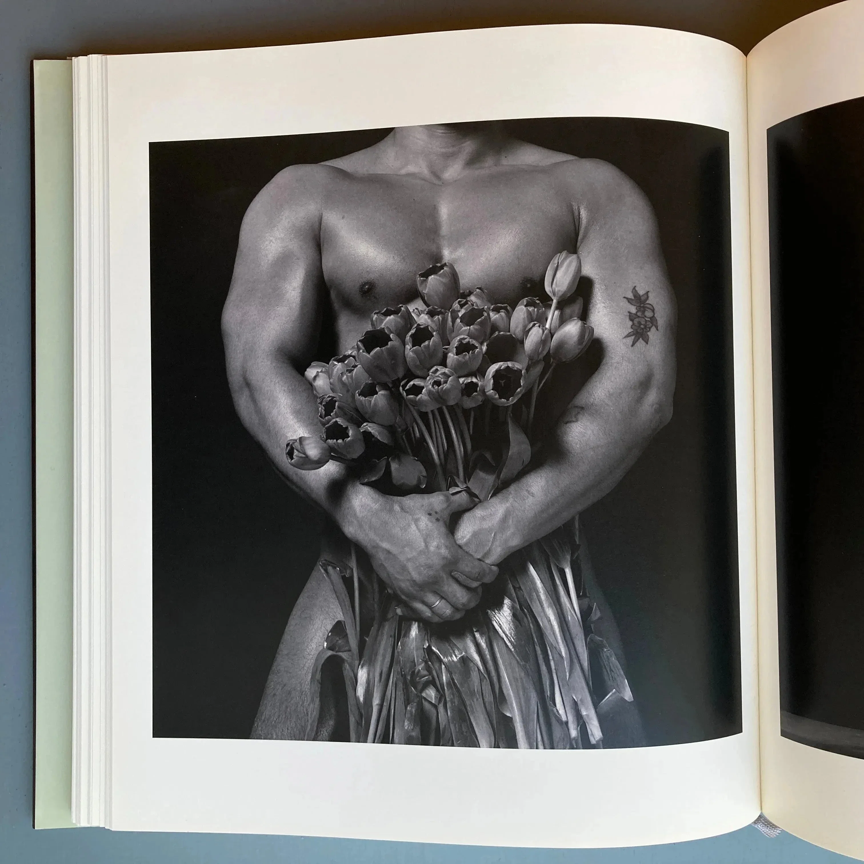 Erwin Olaf - Own: Works 1984-2012 - Lido 2012 - Image 8
