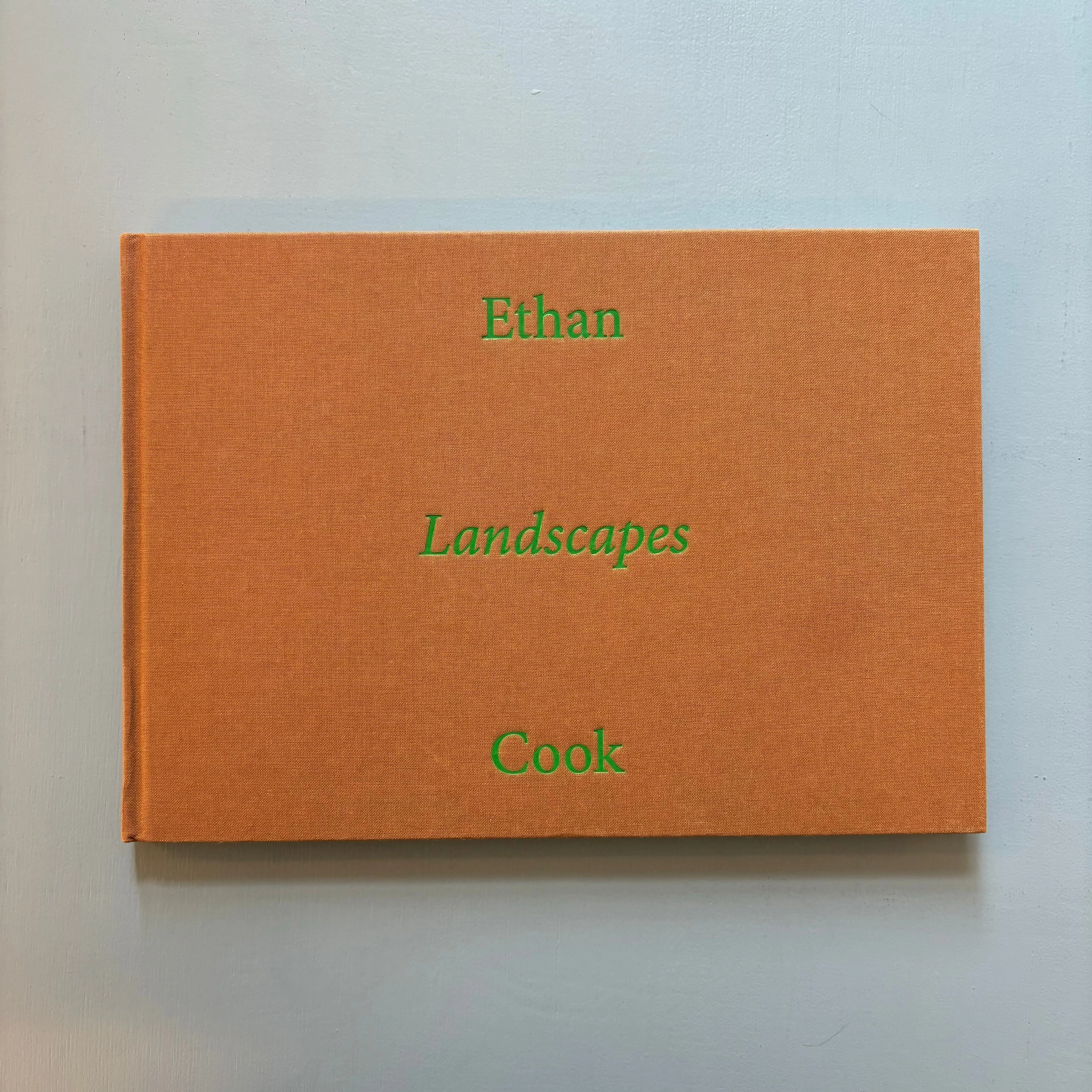 Ethan Cook - Landscapes - Nino Mier Books 2022