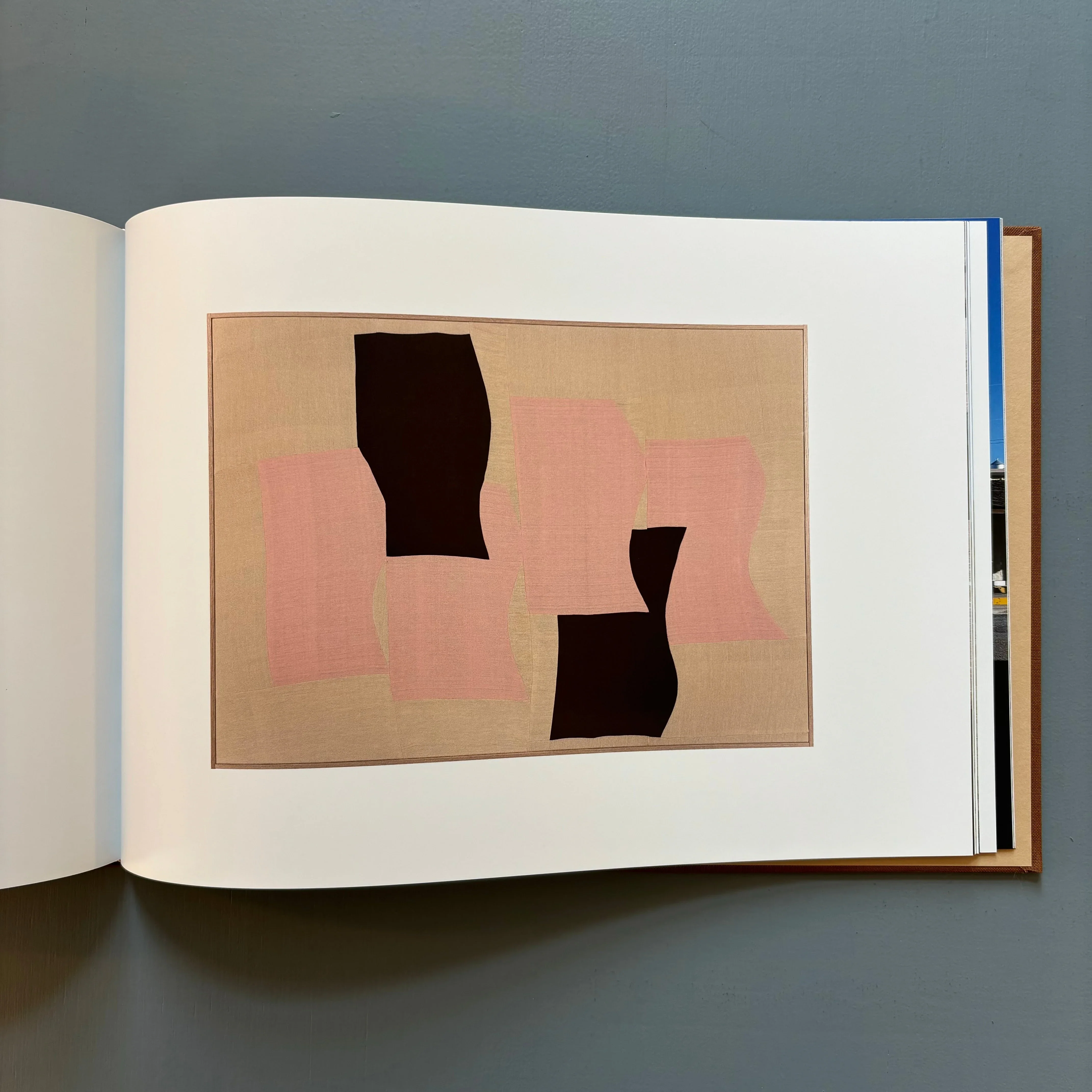 Ethan Cook - Landscapes - Nino Mier Books 2022 - Image 10
