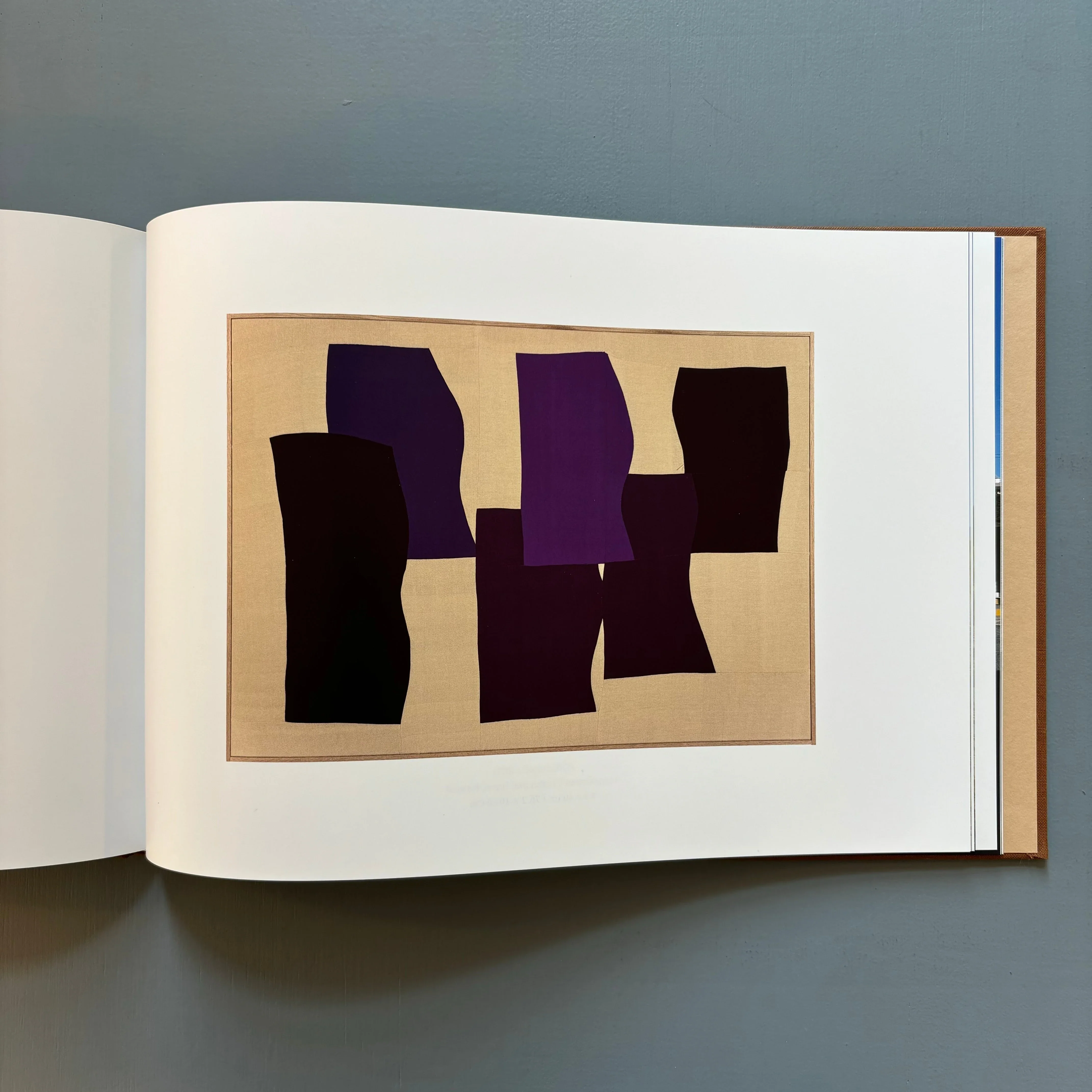 Ethan Cook - Landscapes - Nino Mier Books 2022 - Image 11
