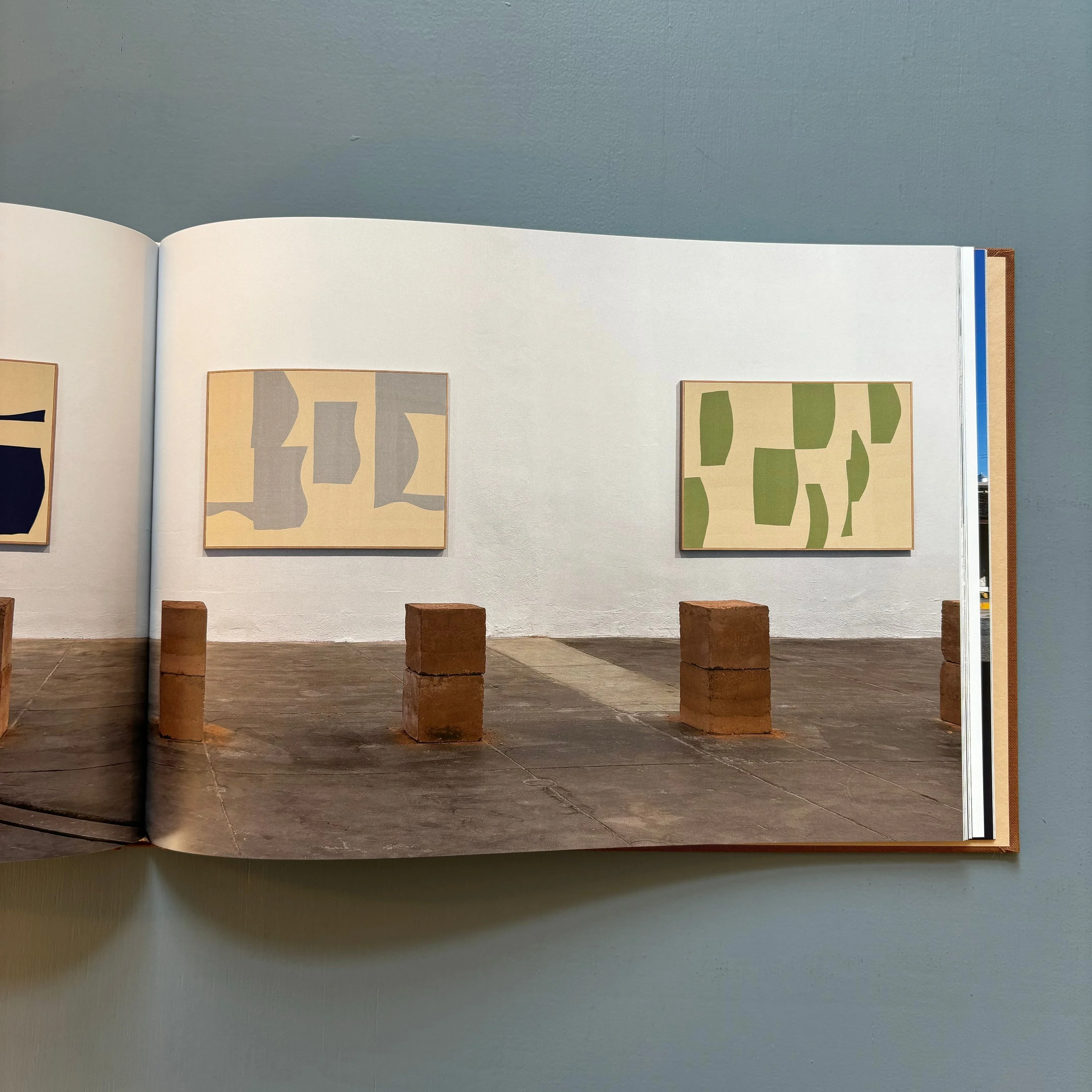 Ethan Cook - Landscapes - Nino Mier Books 2022 - Image 9