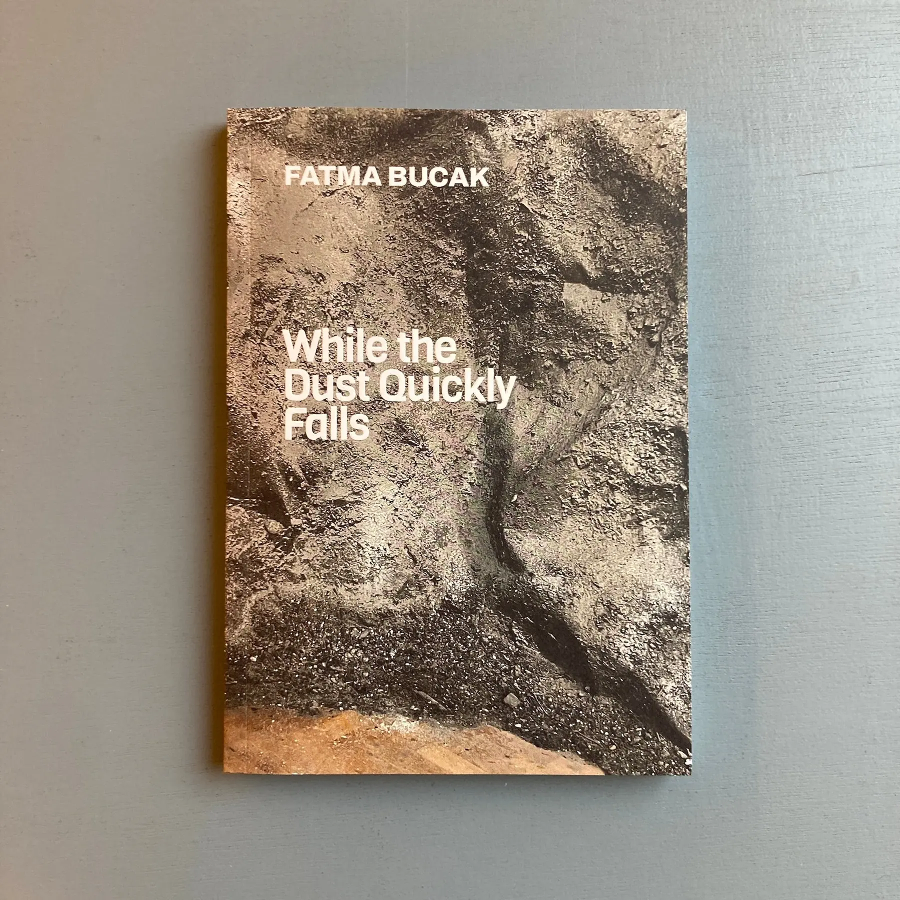 Fatma Bucak - While the Dust Quickly Falls - Mousse 2023