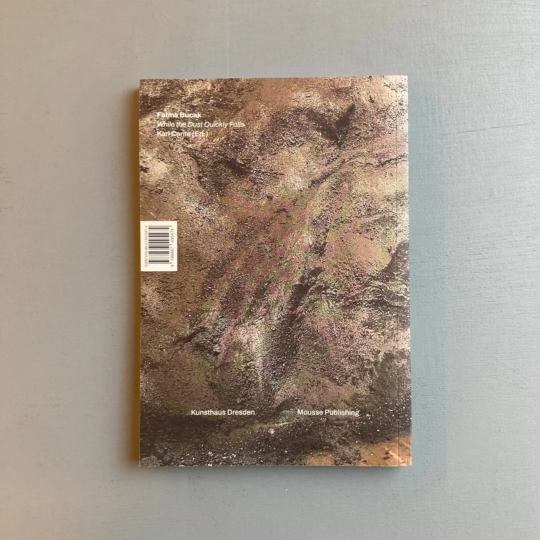 Fatma Bucak - While the Dust Quickly Falls - Mousse 2023 - Image 10