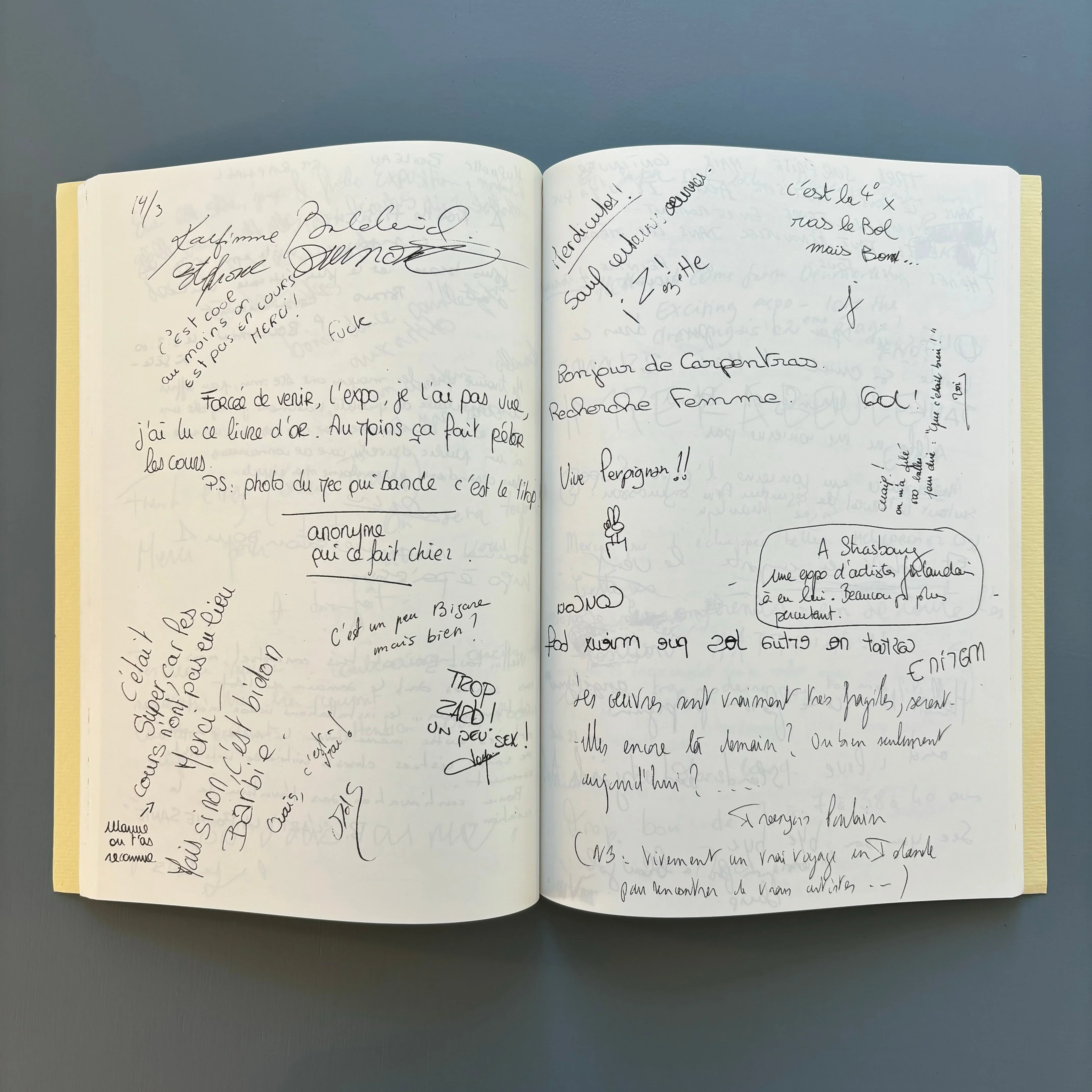 François Curlet - Fac similé du livre d'or - Edition du Crac LR 2000 - Image 7