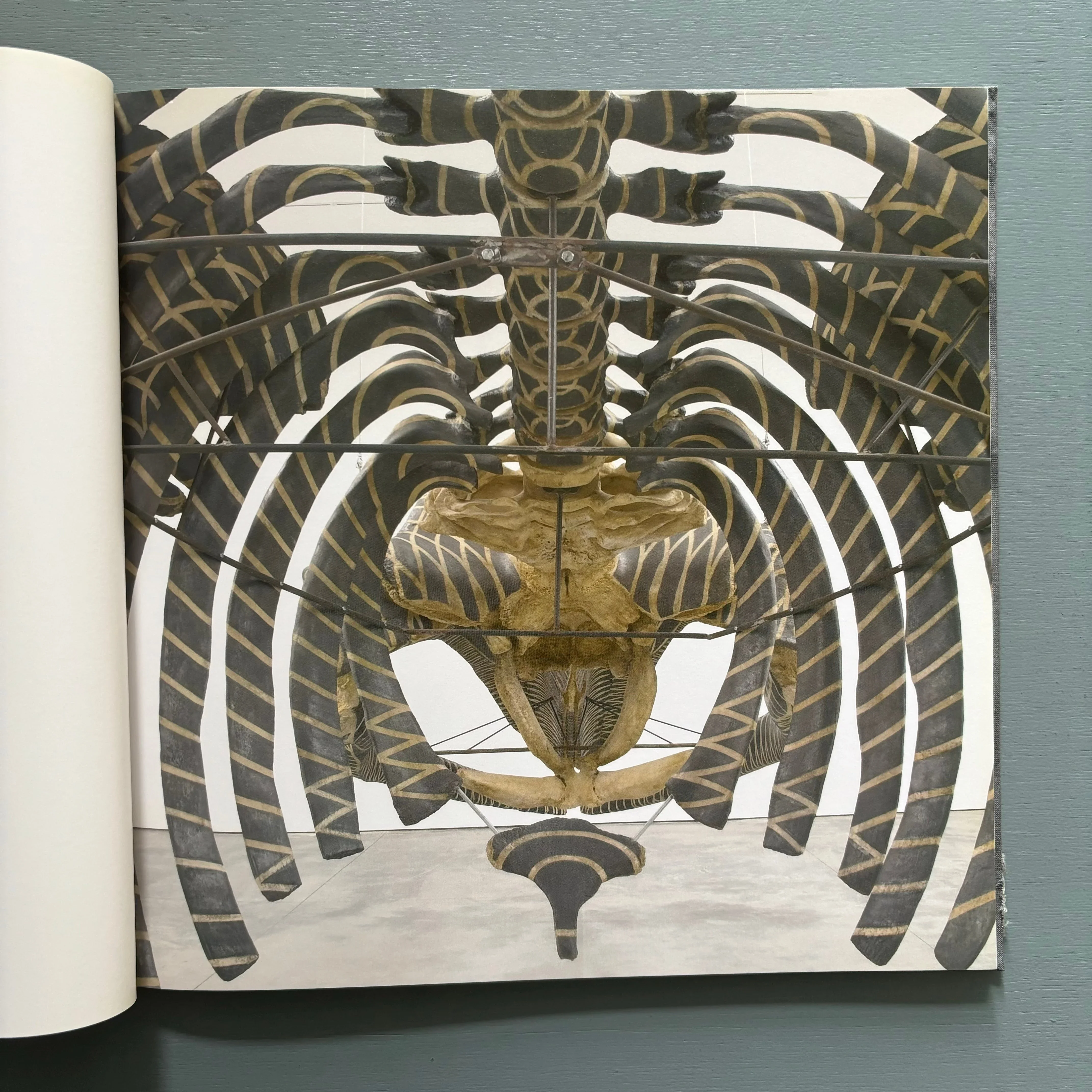 Gabriel Orozco - White Cube 2006 - Image 2