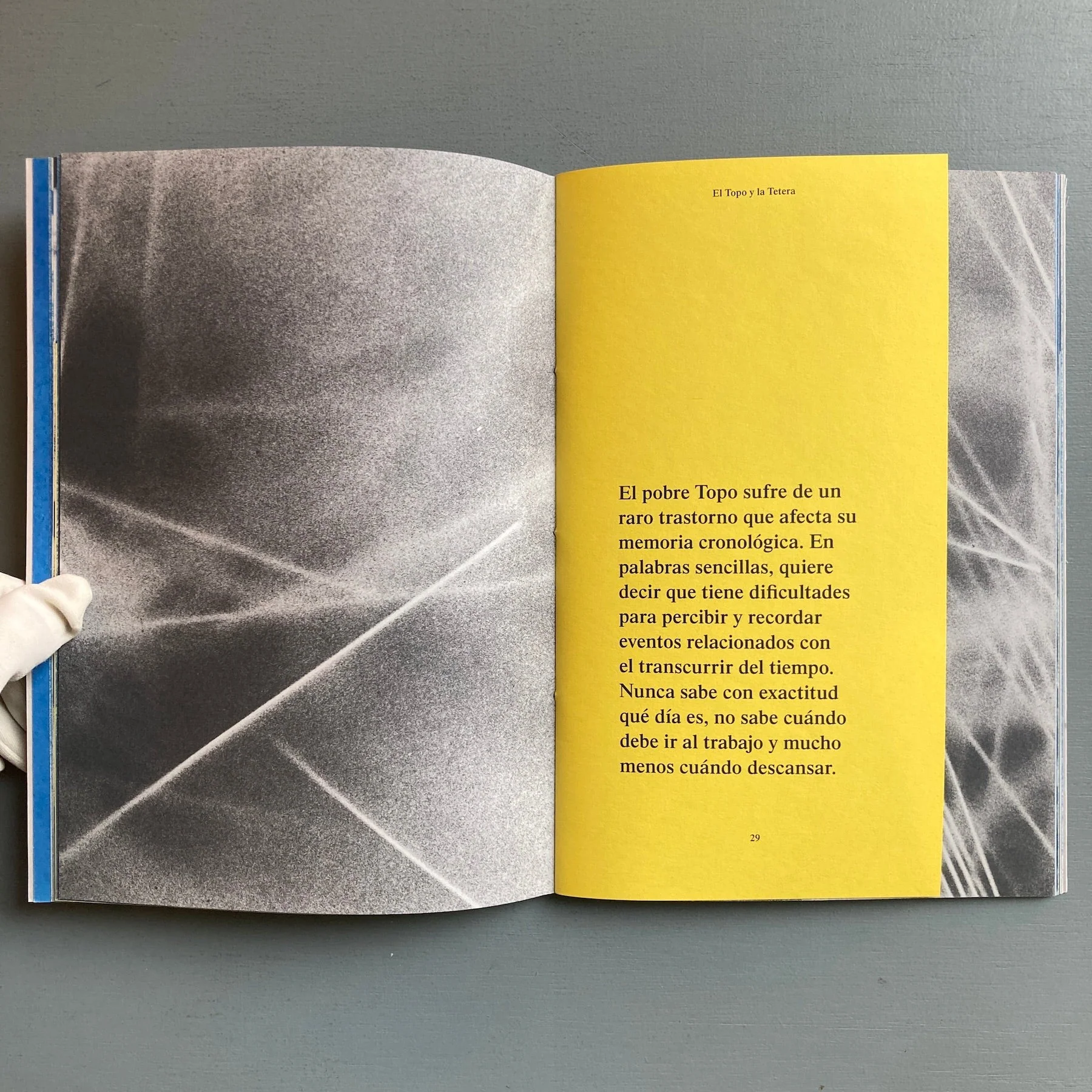 Gabriel Sierra - El Topo y la Tetera - Zolo Press 2019 - Image 3