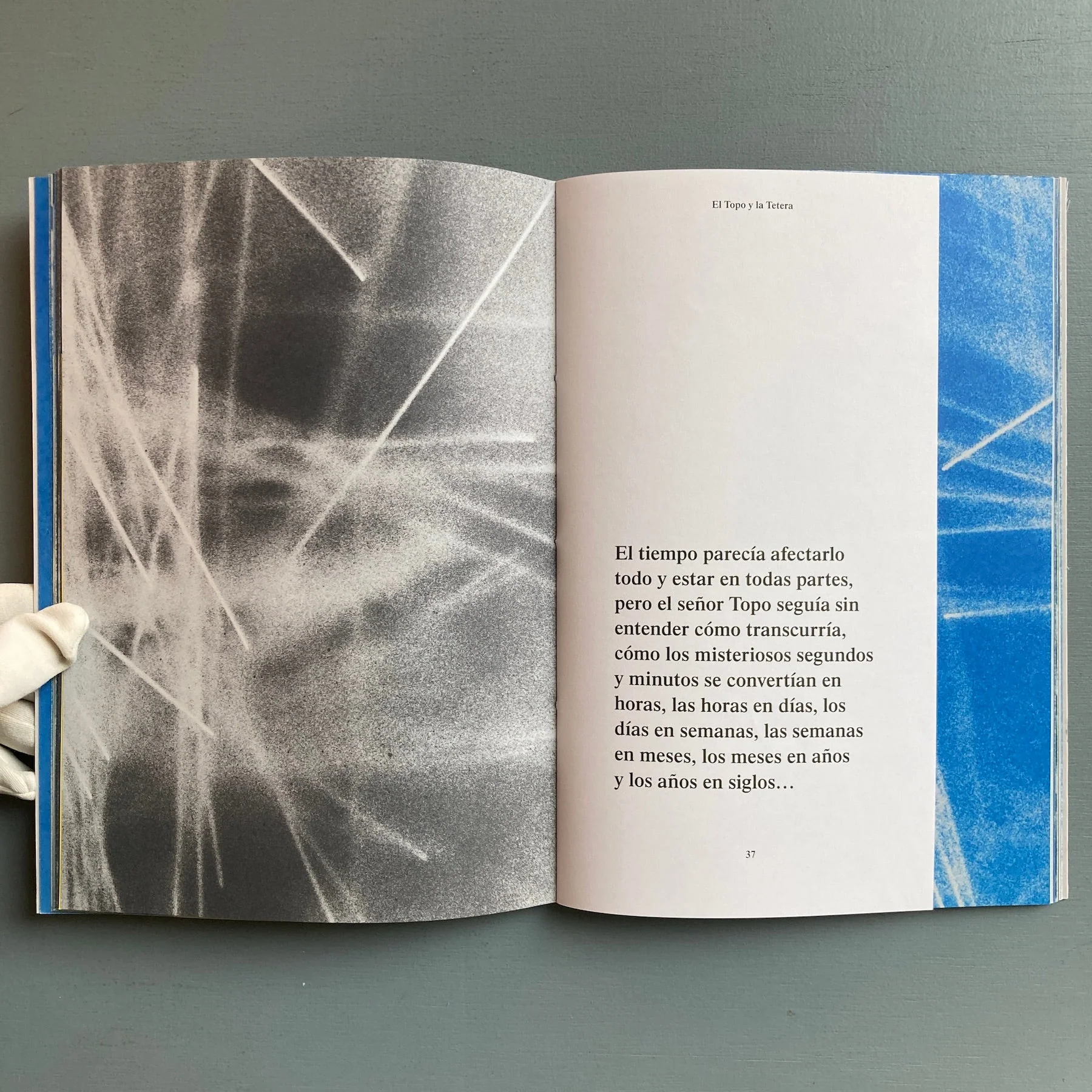 Gabriel Sierra - El Topo y la Tetera - Zolo Press 2019 - Image 5