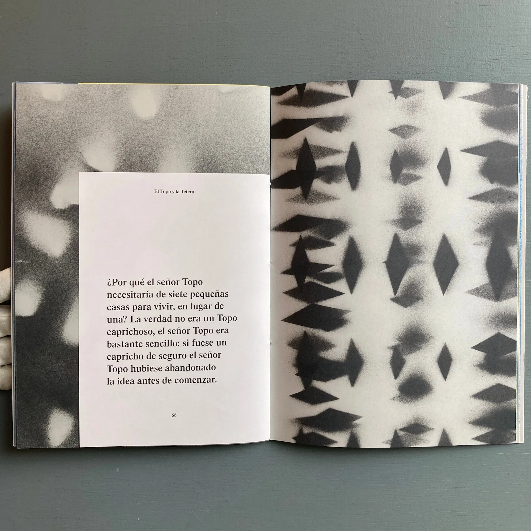 Gabriel Sierra - El Topo y la Tetera - Zolo Press 2019 - Image 7
