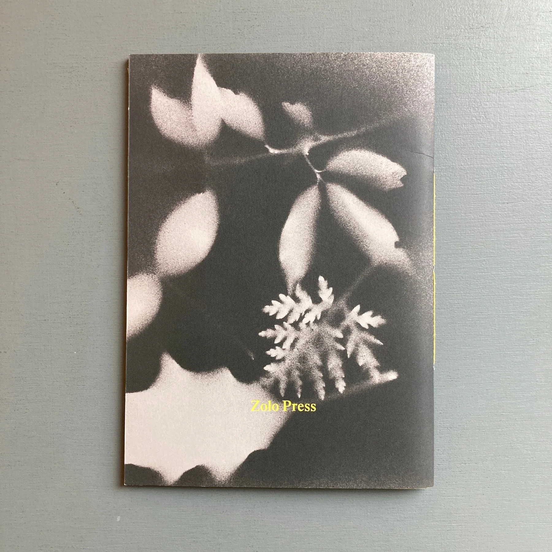 Gabriel Sierra - El Topo y la Tetera - Zolo Press 2019 - Image 9