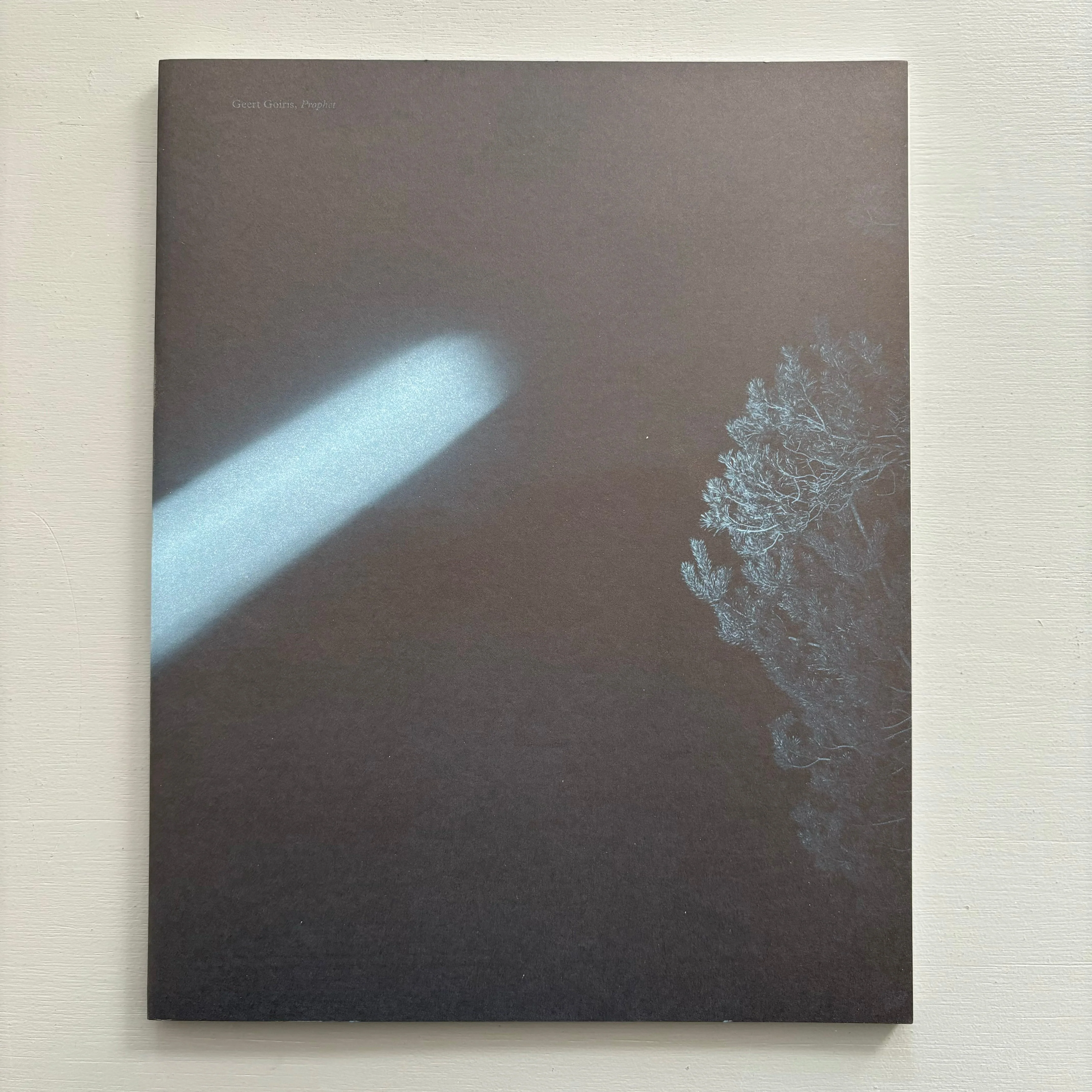 Geert Goiris (signed) - Prophet - Roma Publications 2015