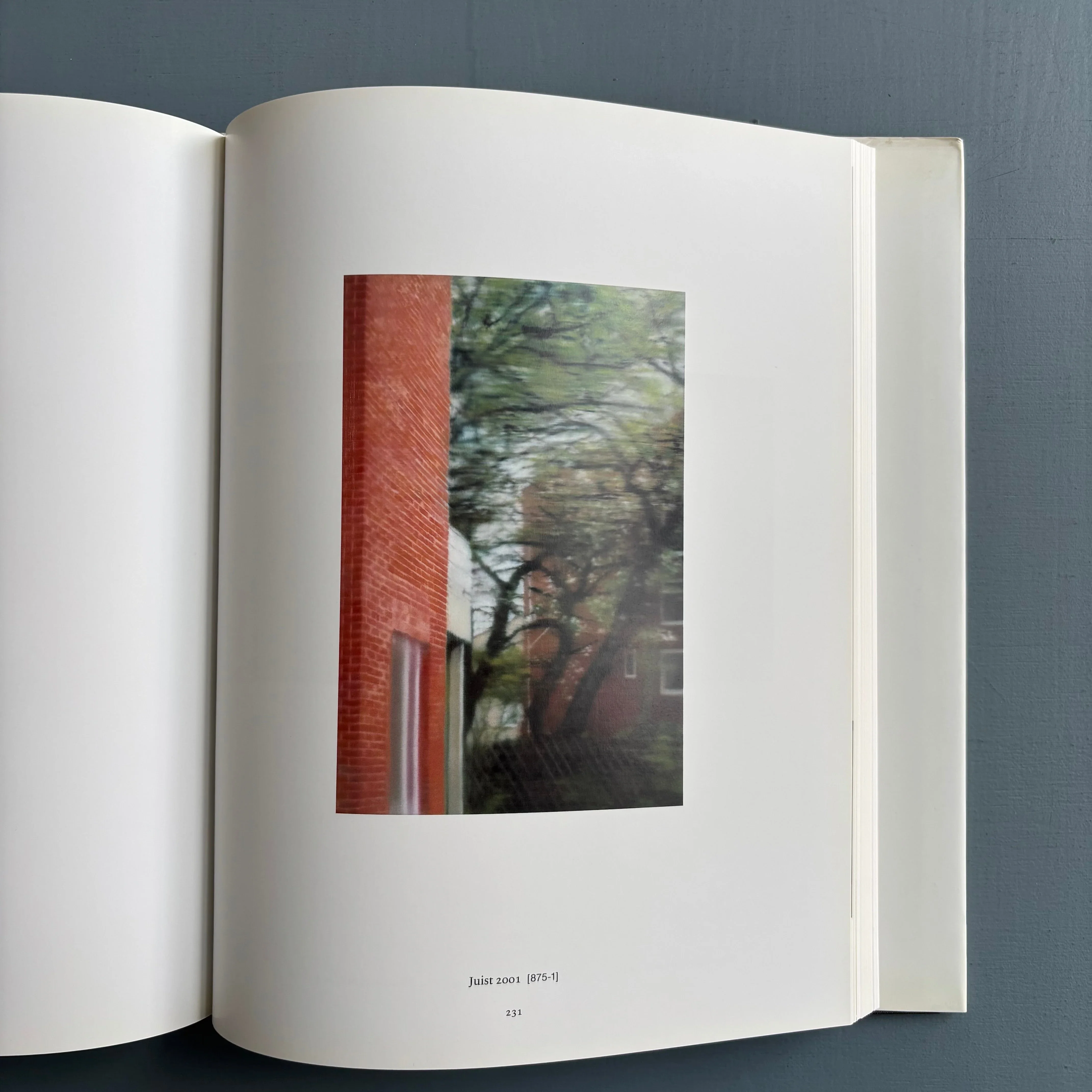 Gerhard Richter - Catalogue Raisonné 1993-2004 - K20K21 2005 - Image 11