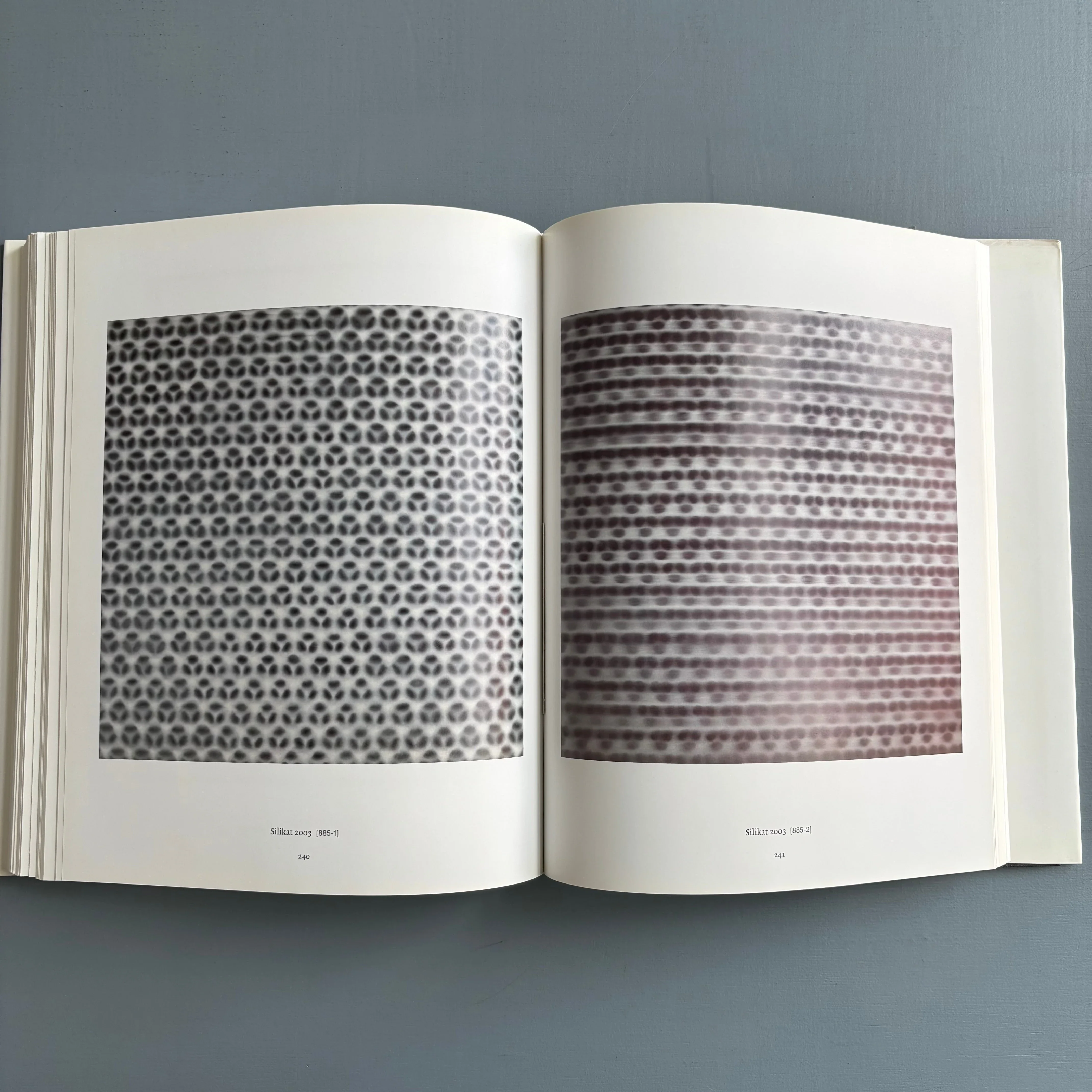 Gerhard Richter - Catalogue Raisonné 1993-2004 - K20K21 2005 - Image 12