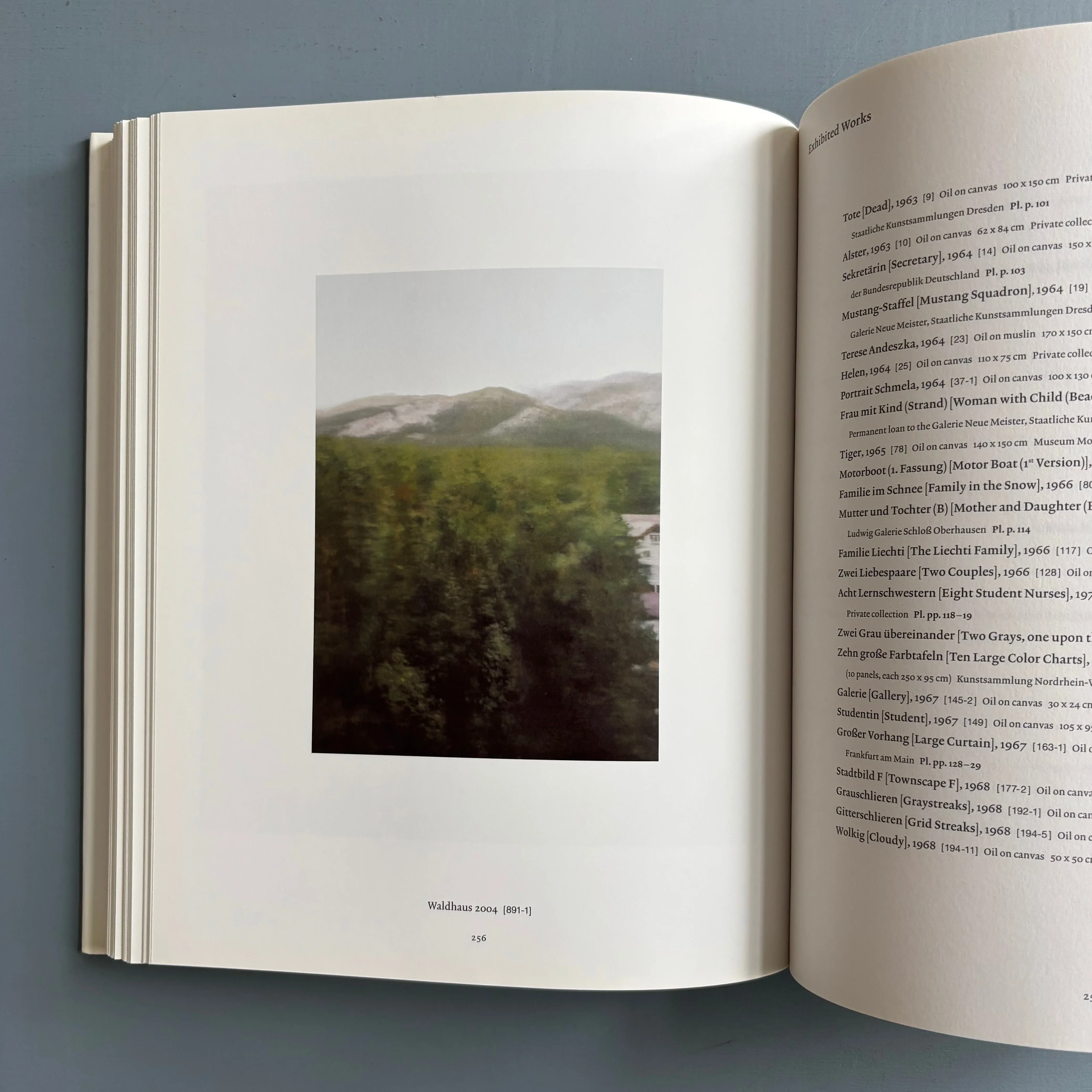 Gerhard Richter - Catalogue Raisonné 1993-2004 - K20K21 2005 - Image 13
