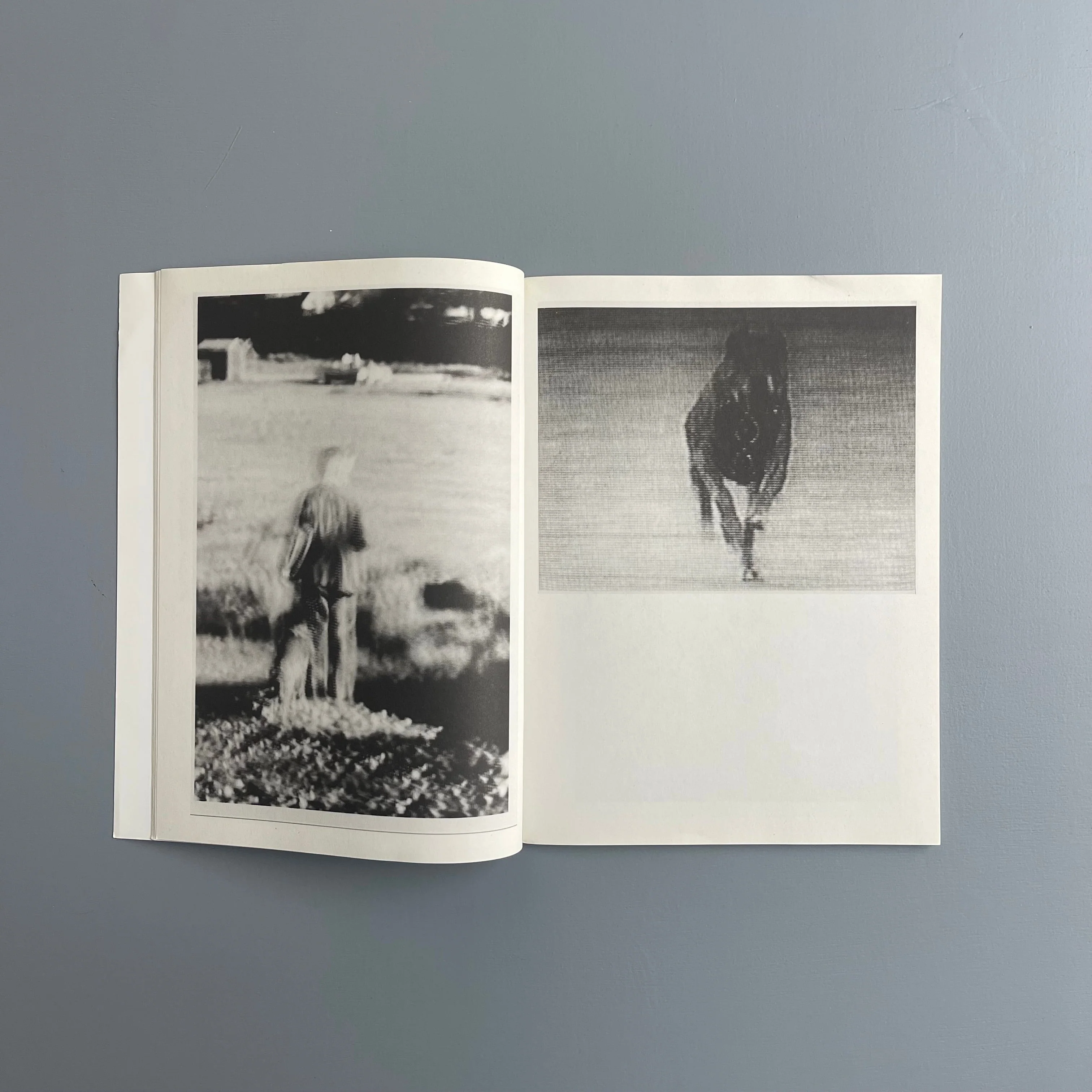 Harmony Korine - Pigxtras - Purple Book 2008 - Image 5
