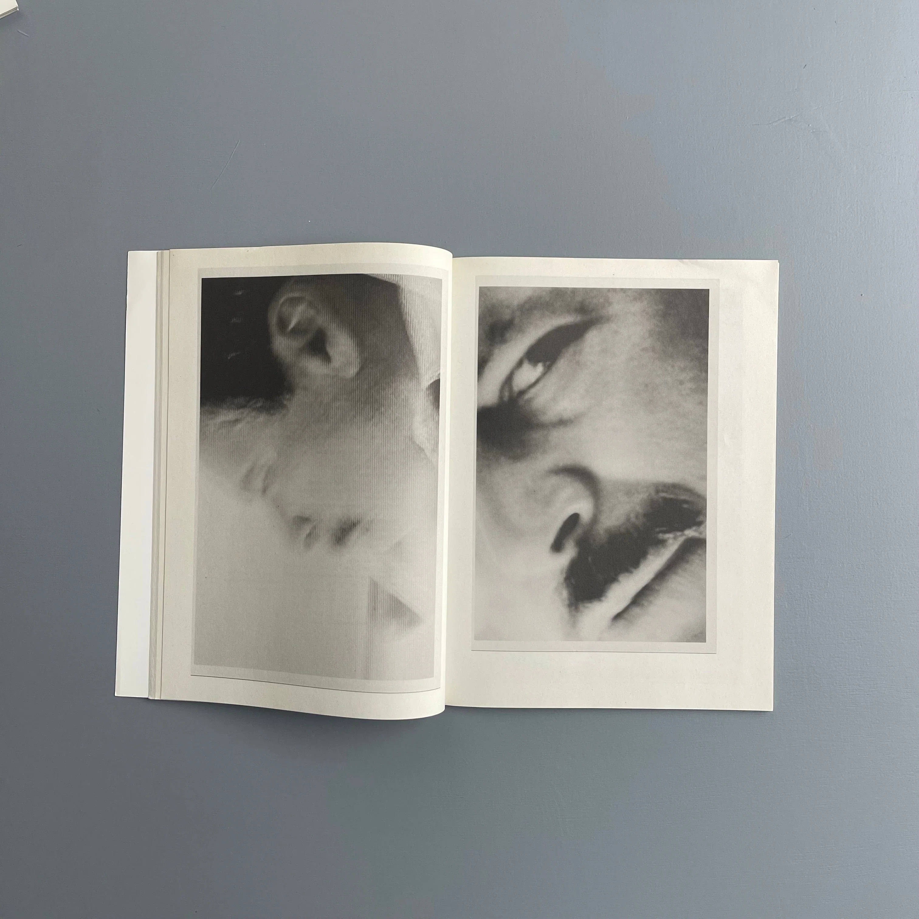 Harmony Korine - Pigxtras - Purple Book 2008 - Image 8