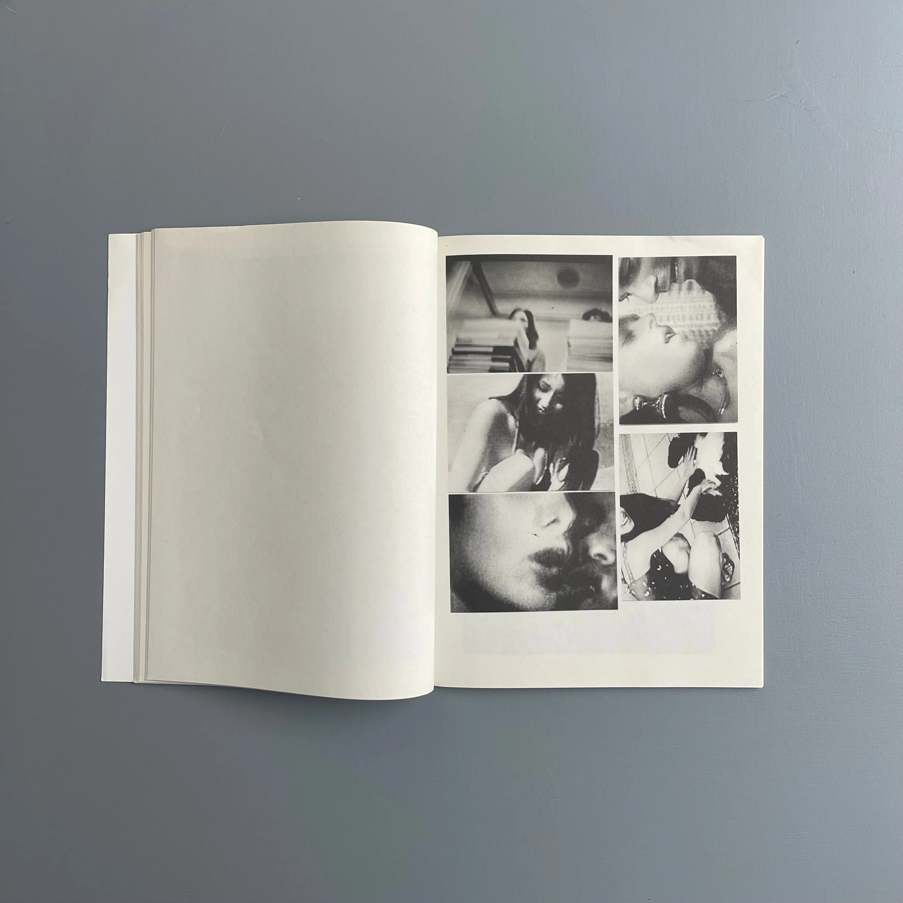 Harmony Korine - Pigxtras - Purple Book 2008 - Image 9