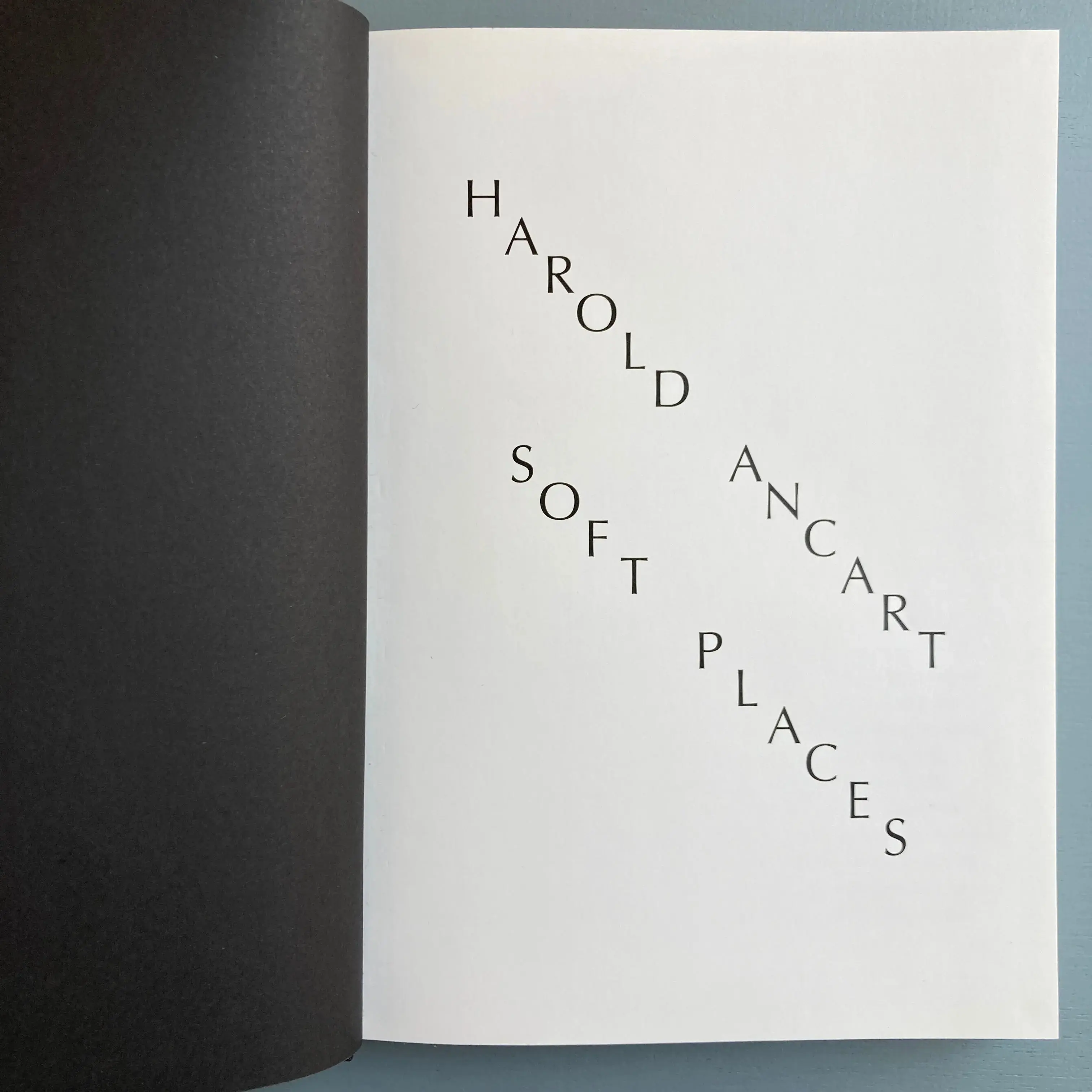 Harold Ancart - Soft Places (I) - Triangle Books 2018 - Image 2