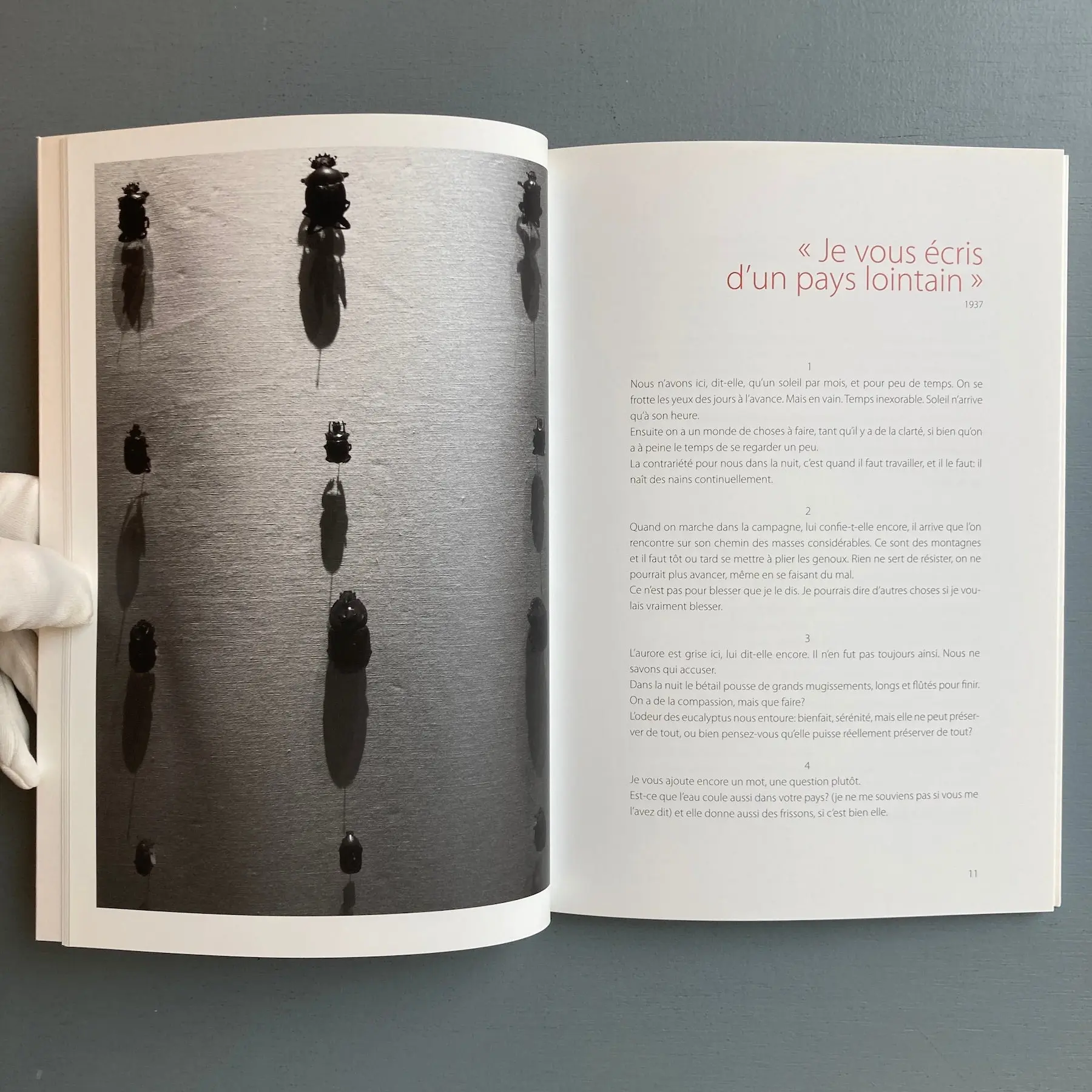 Henri Michaux, Rosemarie Trockel - "Die Hölle wird Wolle" - Moon Rainbow 2012 - Image 4