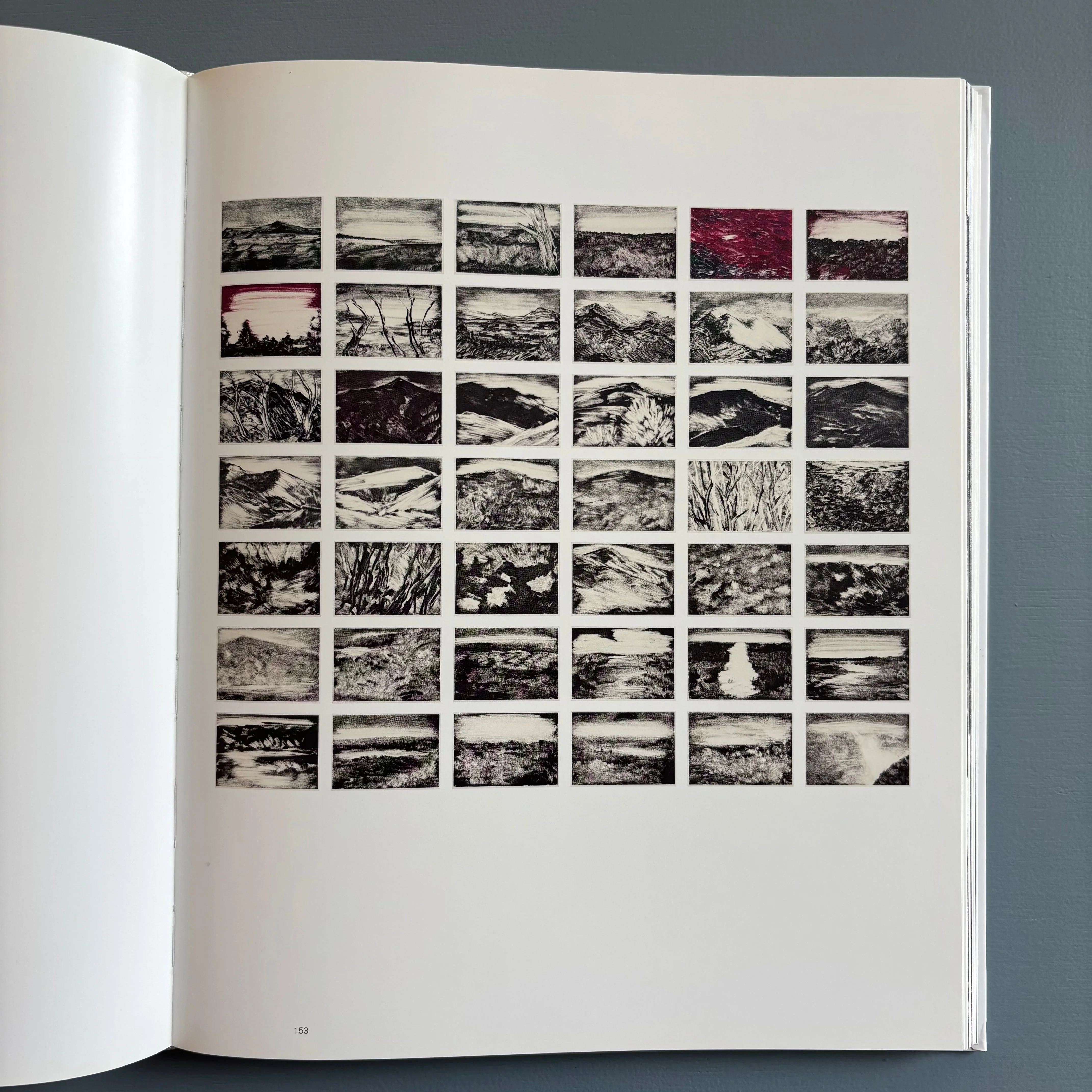 Herbert Brandl (signed) - Berge und Landschaften, Monotypien 2009/2010 - Albertina 2010 - Image 10