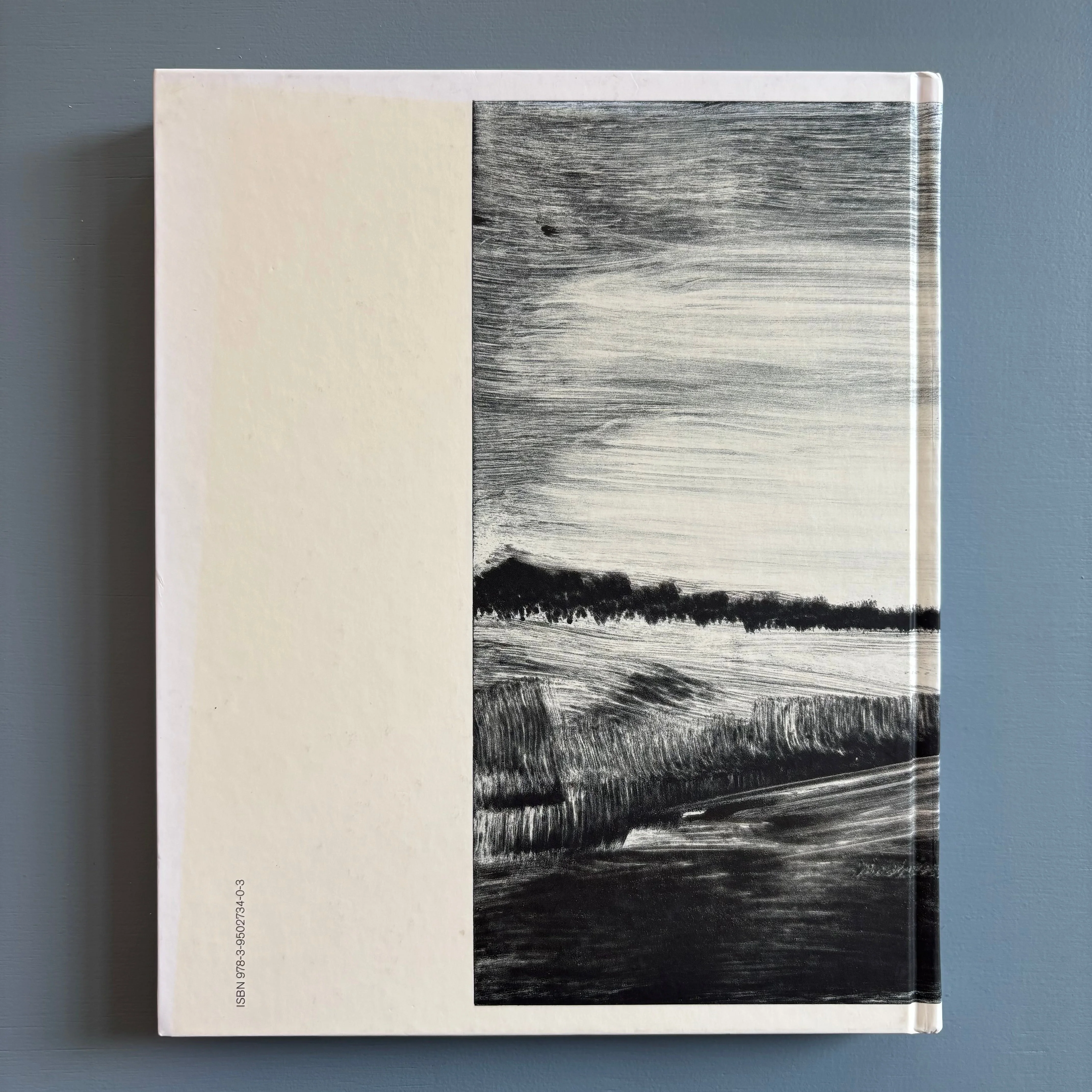 Herbert Brandl (signed) - Berge und Landschaften, Monotypien 2009/2010 - Albertina 2010 - Image 13