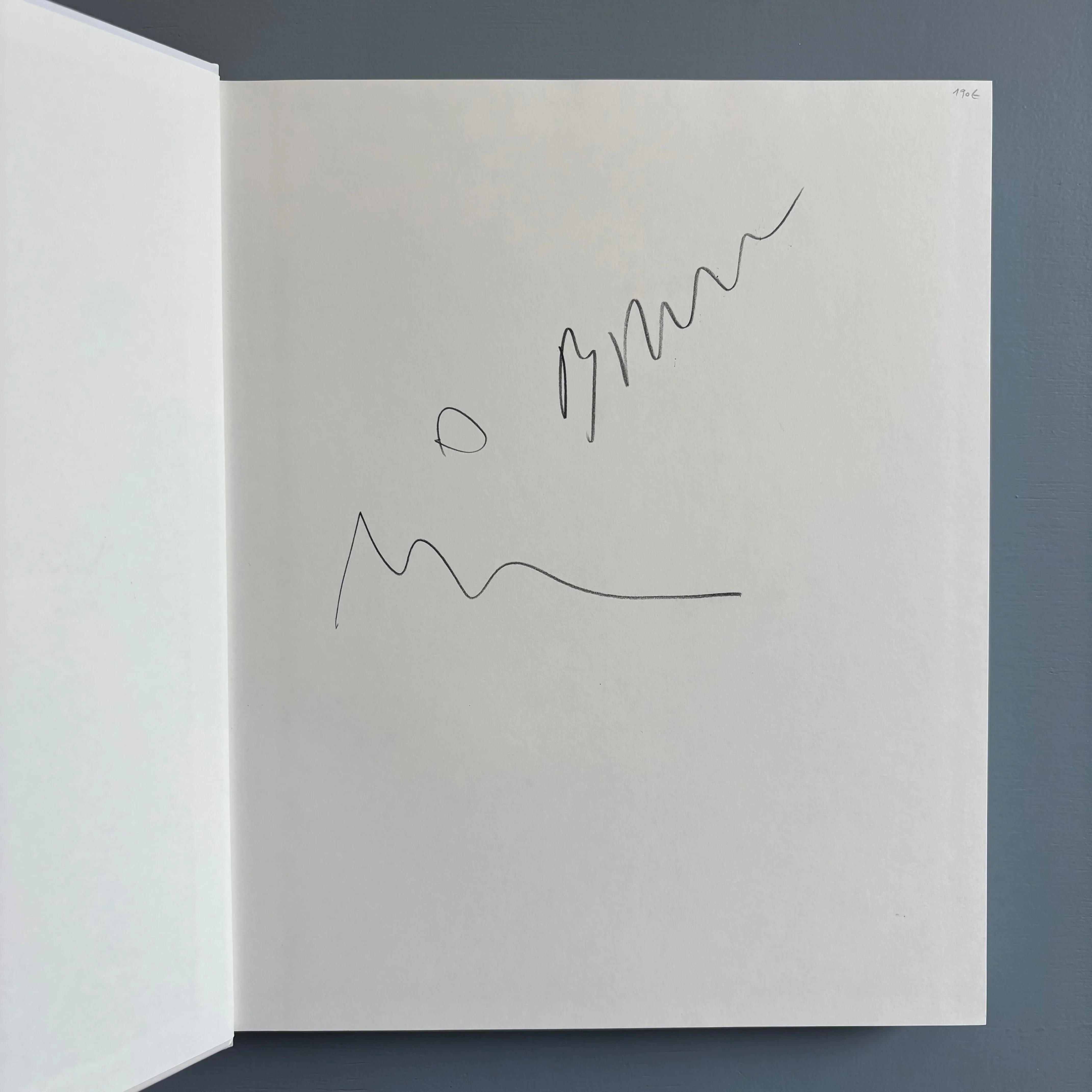 Herbert Brandl (signed) - Berge und Landschaften, Monotypien 2009/2010 - Albertina 2010 - Image 2