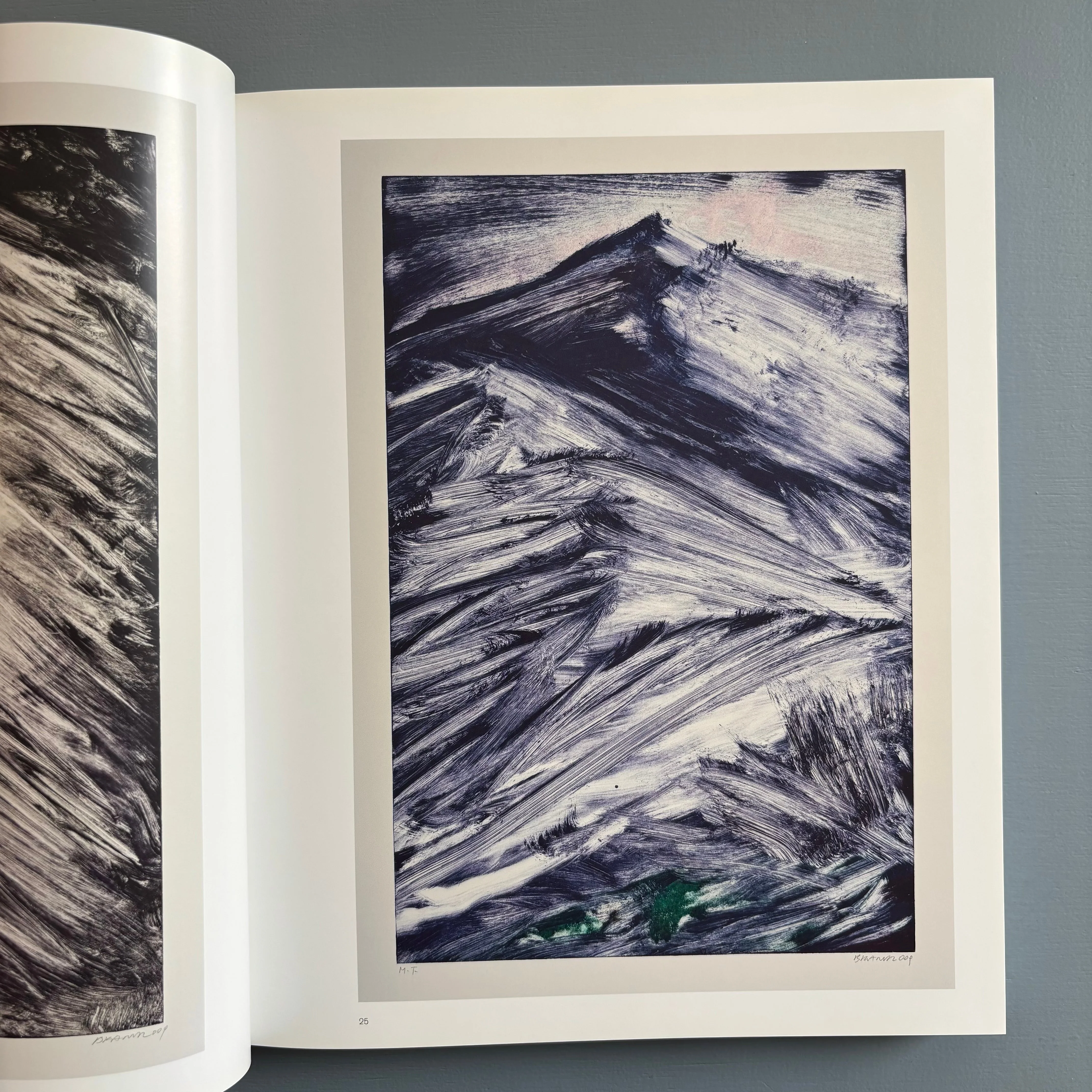 Herbert Brandl (signed) - Berge und Landschaften, Monotypien 2009/2010 - Albertina 2010 - Image 3