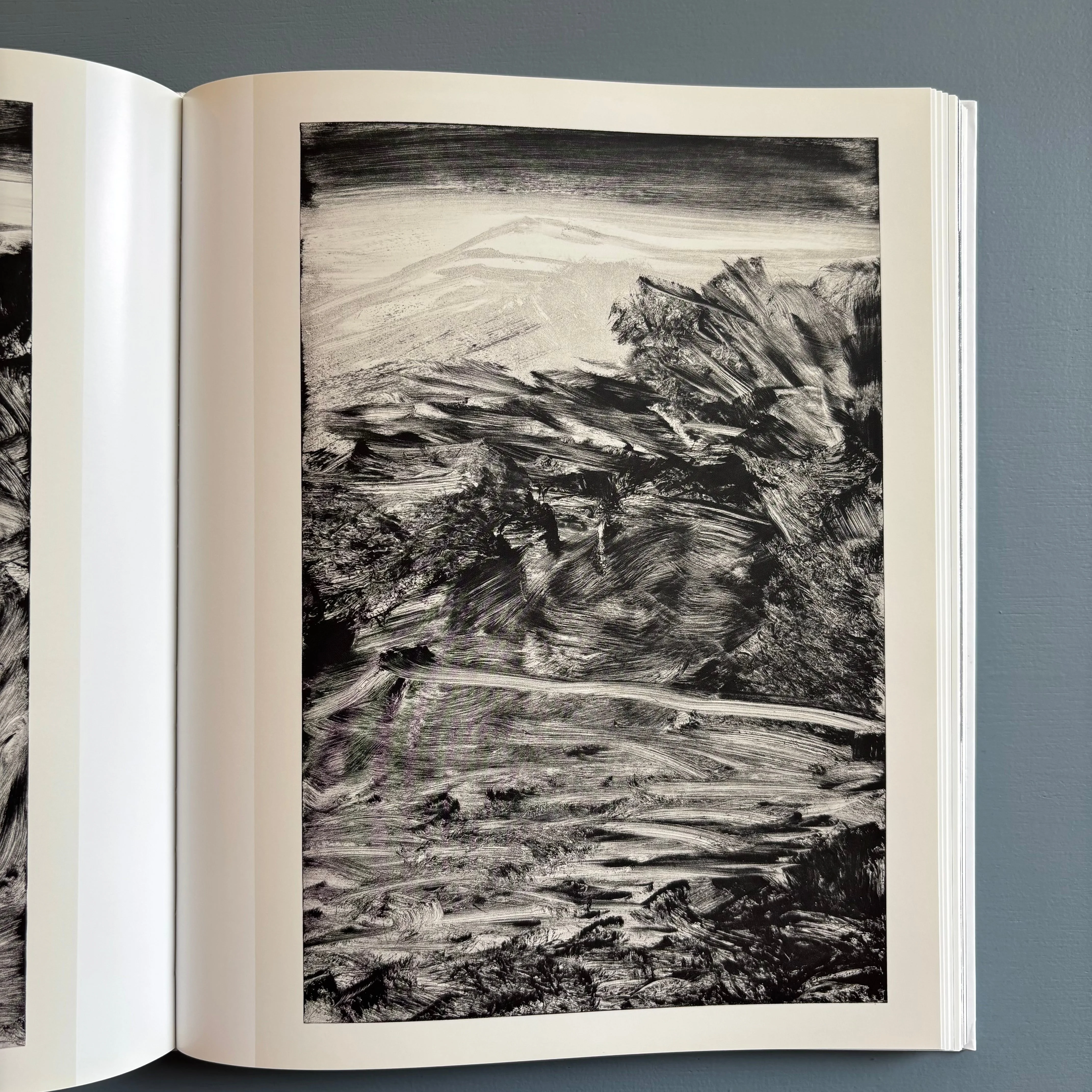 Herbert Brandl (signed) - Berge und Landschaften, Monotypien 2009/2010 - Albertina 2010 - Image 9