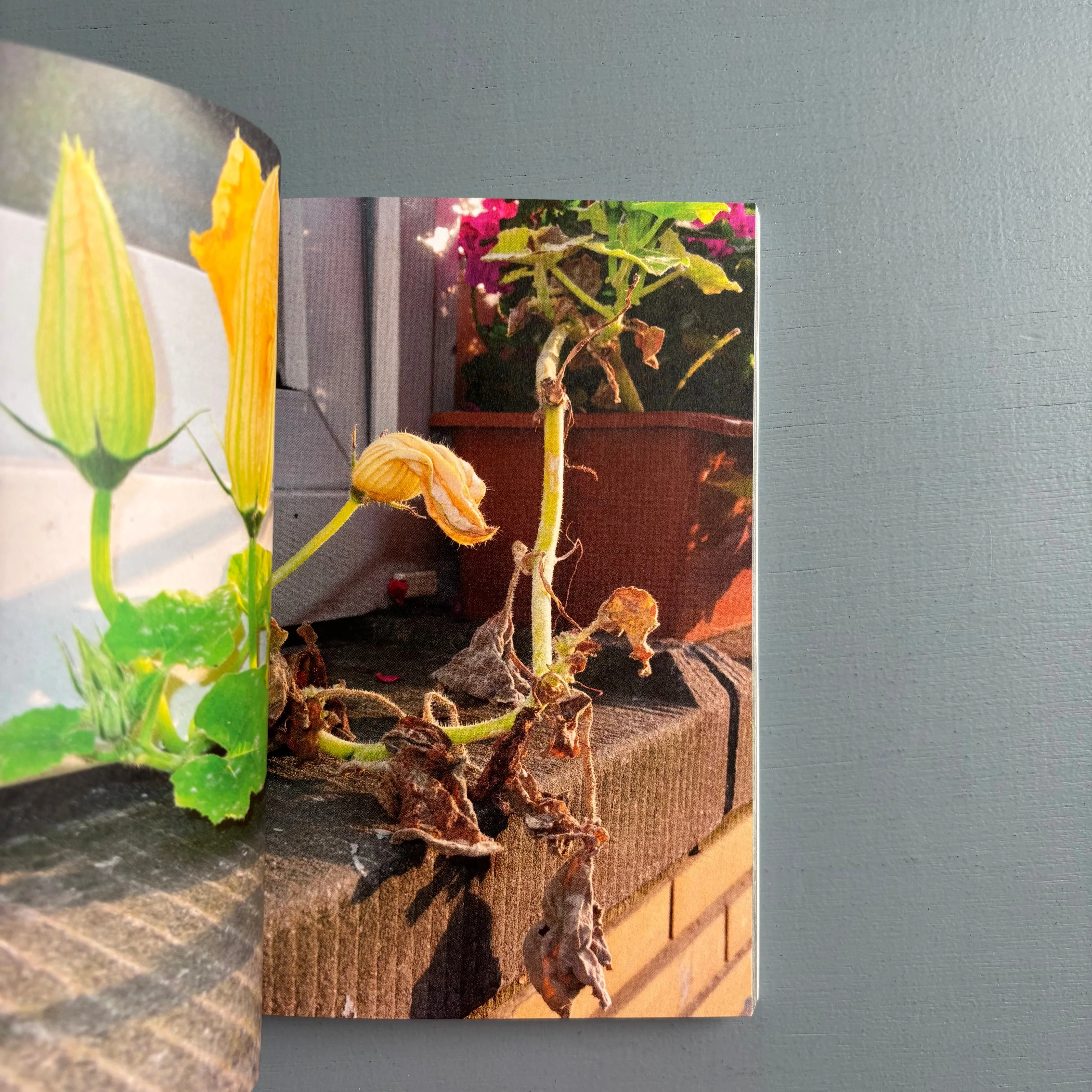 Hugo Boutry - Echos - Self-published 2024 - Image 6