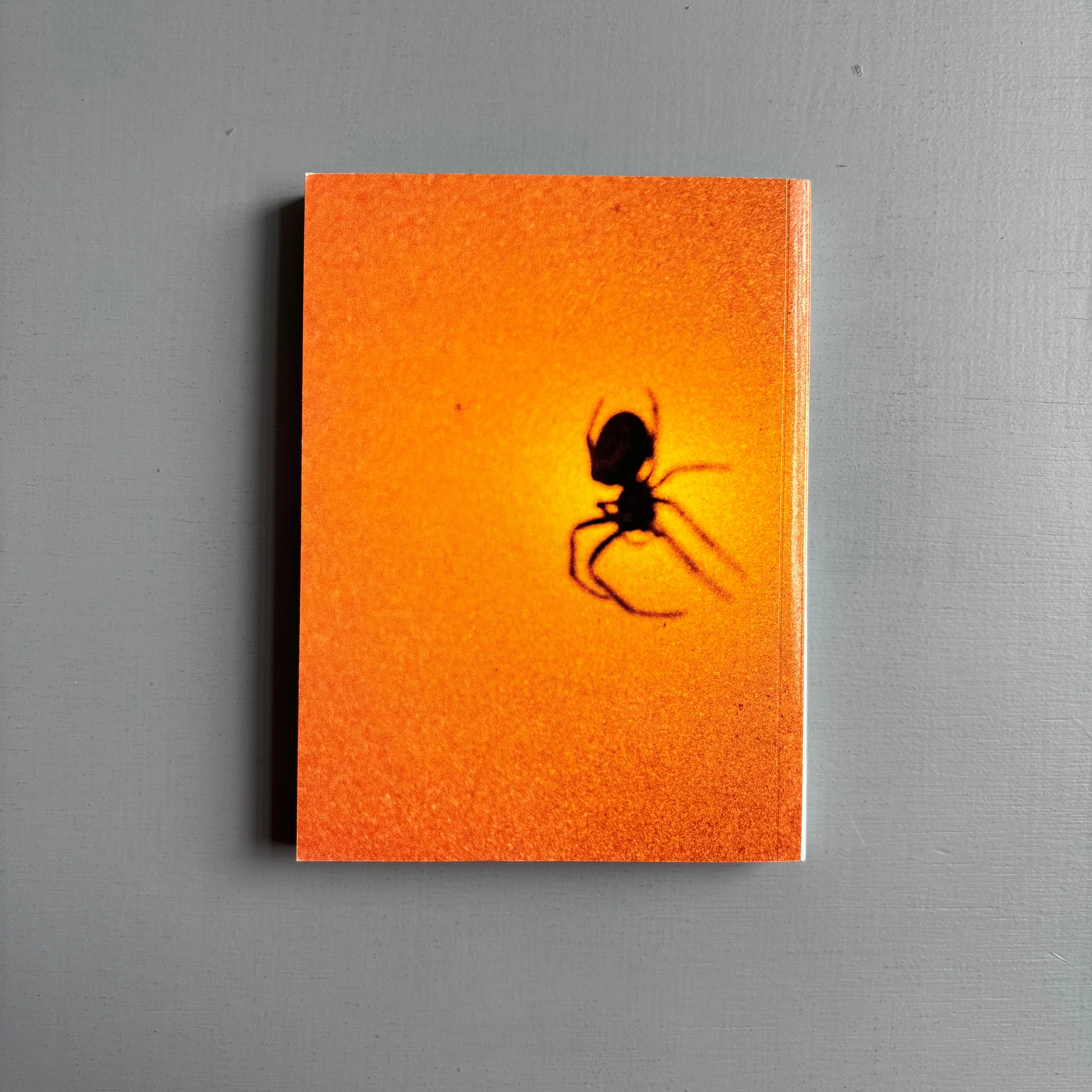 Hugo Boutry - Echos - Self-published 2024 - Image 8