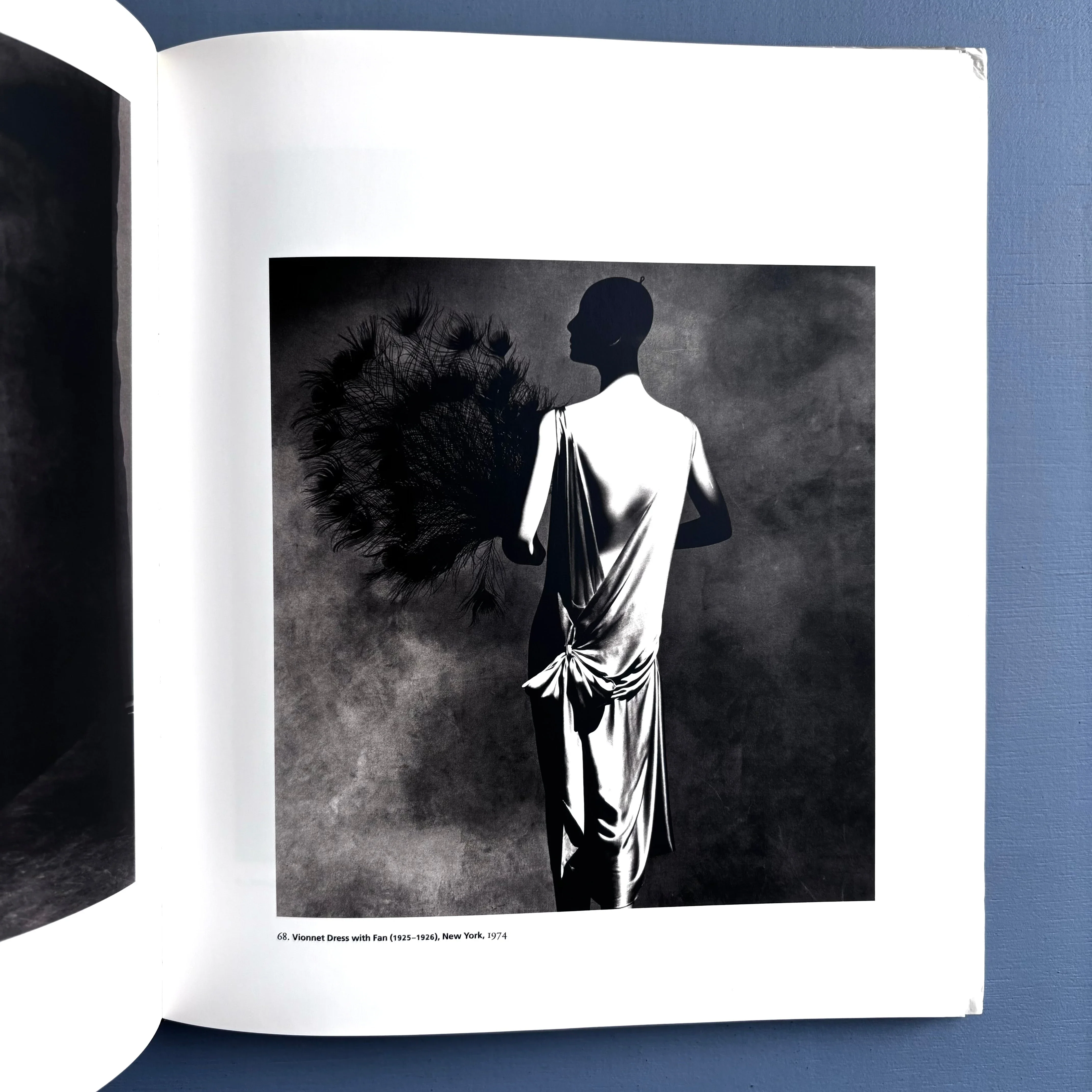 Irving Penn - Platinum Prints - National Gallery of Art 2005 - Image 7