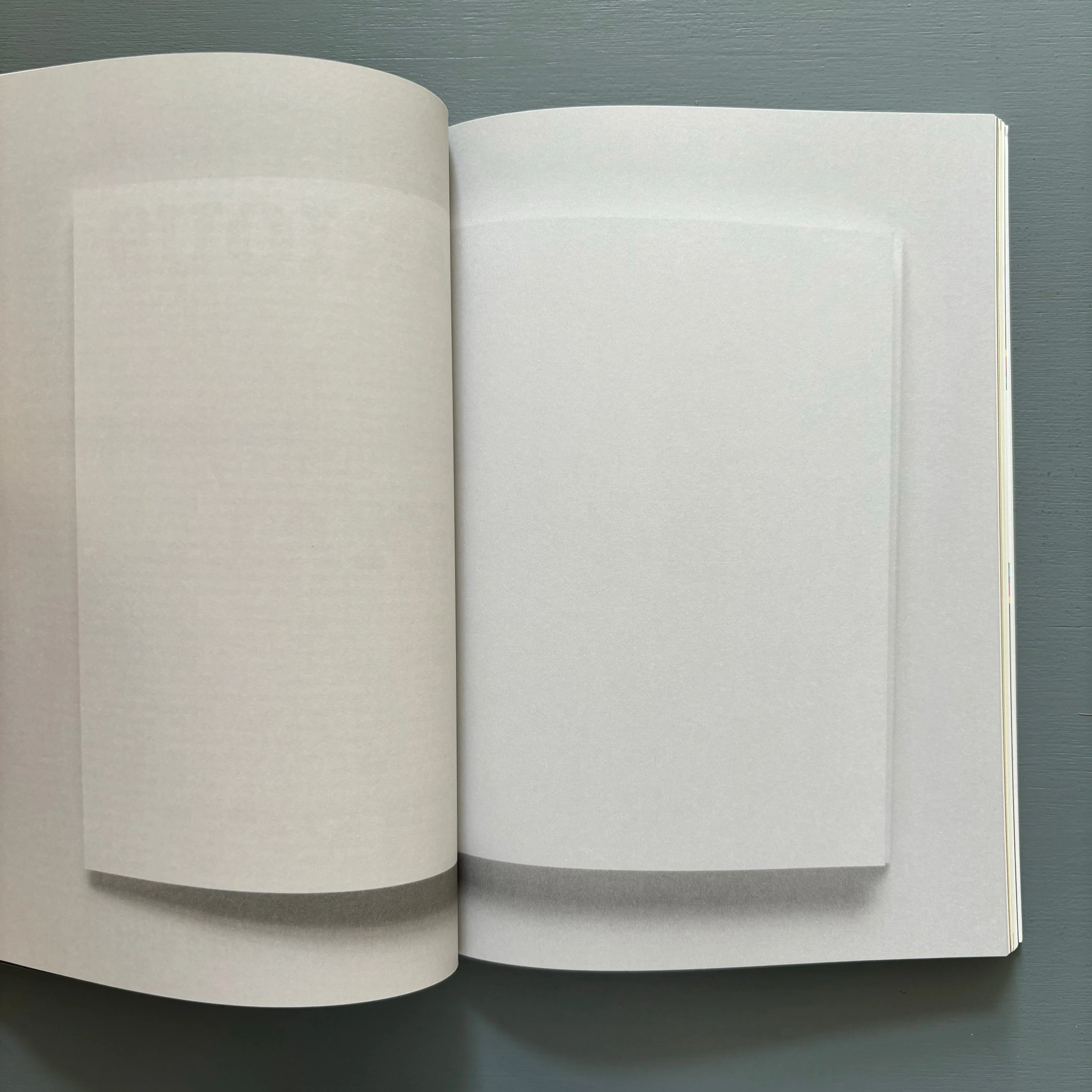 James Langdon - Book (E.P. 10.1) - Eastside Project 2010 - Image 5