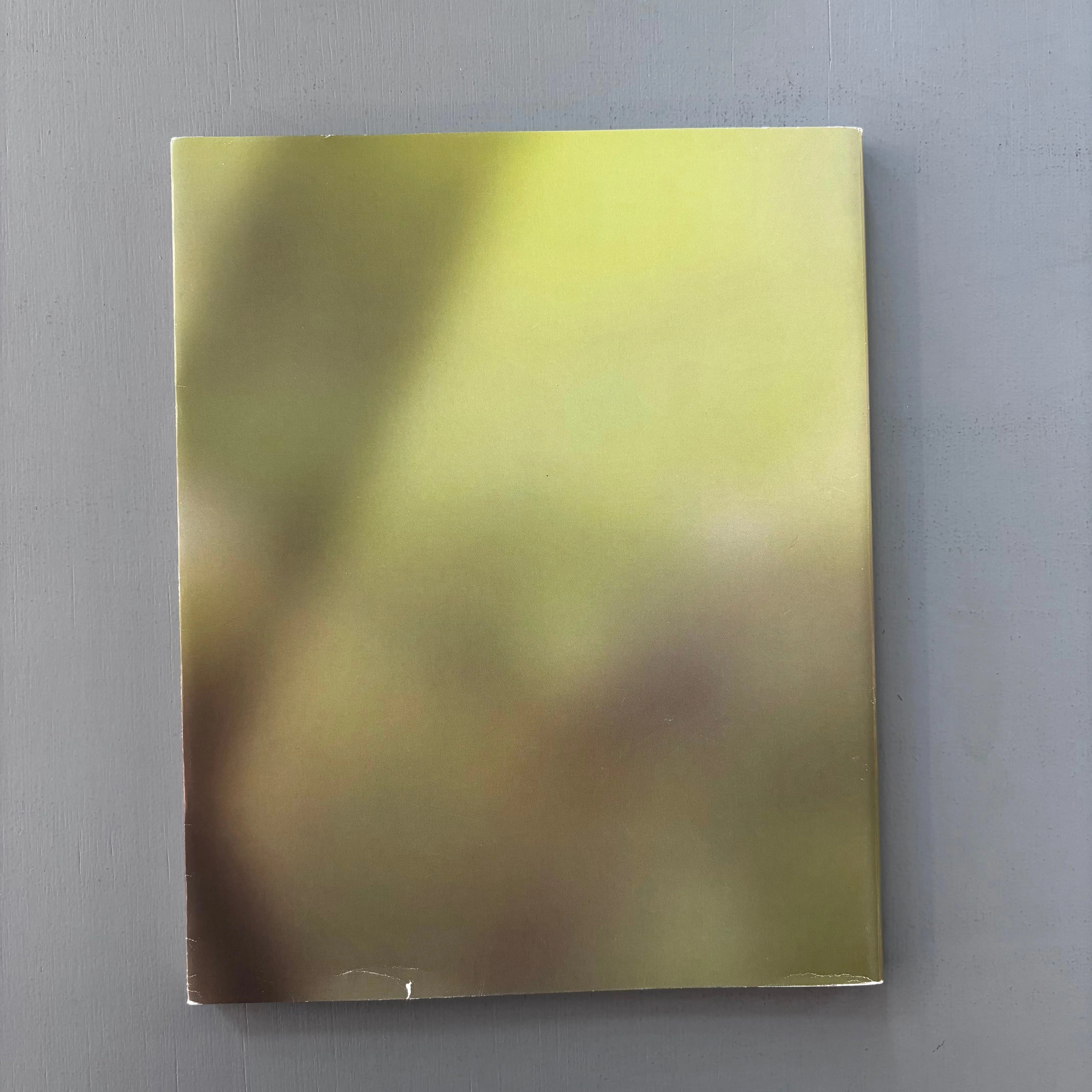 James Welling - Abstract - Palais des Beaux-Arts Brussels 2002 - Image 11