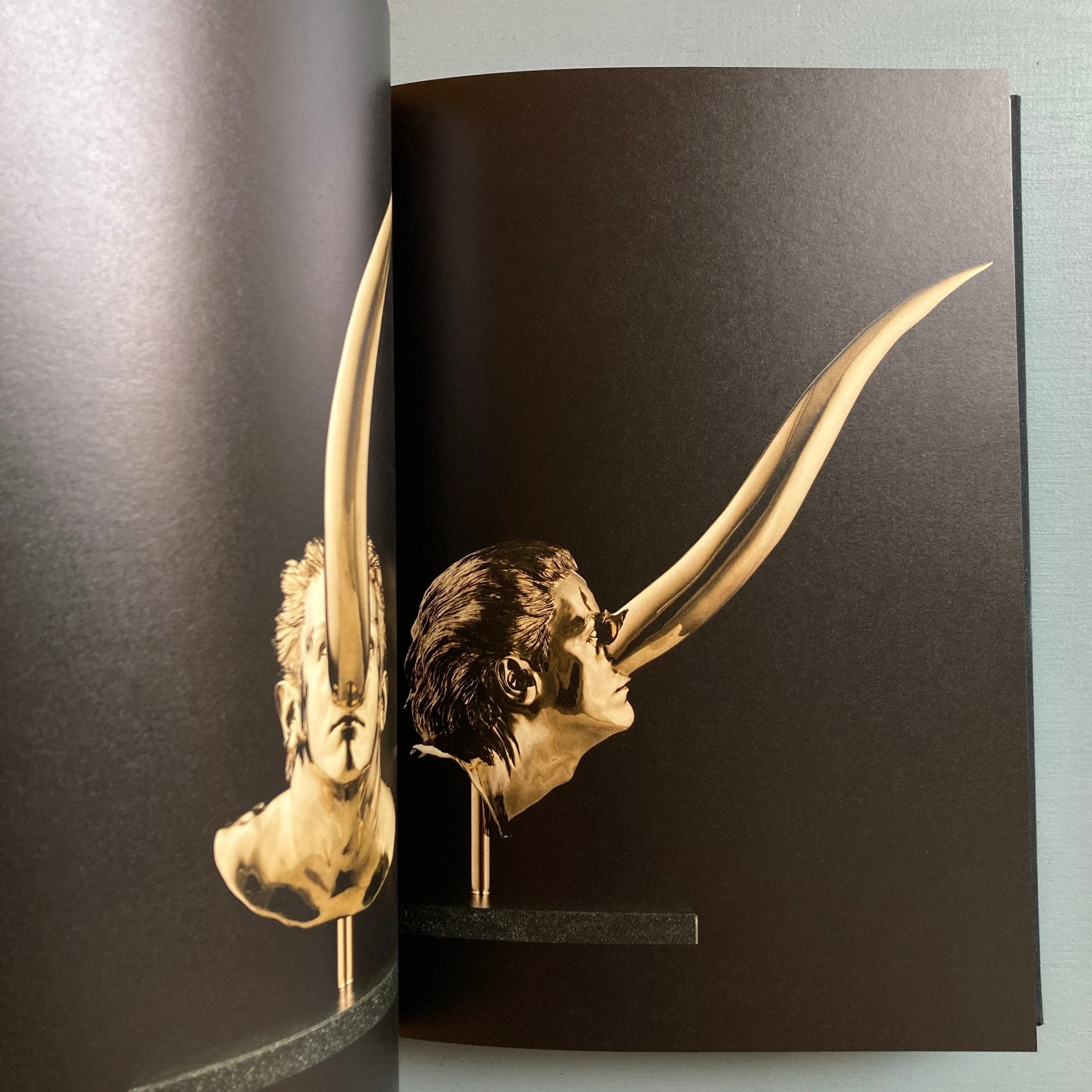 Jan Fabre - Chapitres I-XVIII: Cires et Bronzes - Galerie Guy Pieters 2010 - Image 5